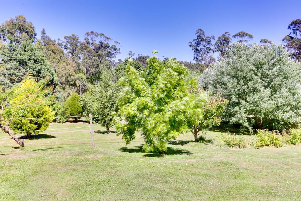 58 Turkey Farm Road, GLENGARRY TAS 7275, Glengarry - Thumbnail 3