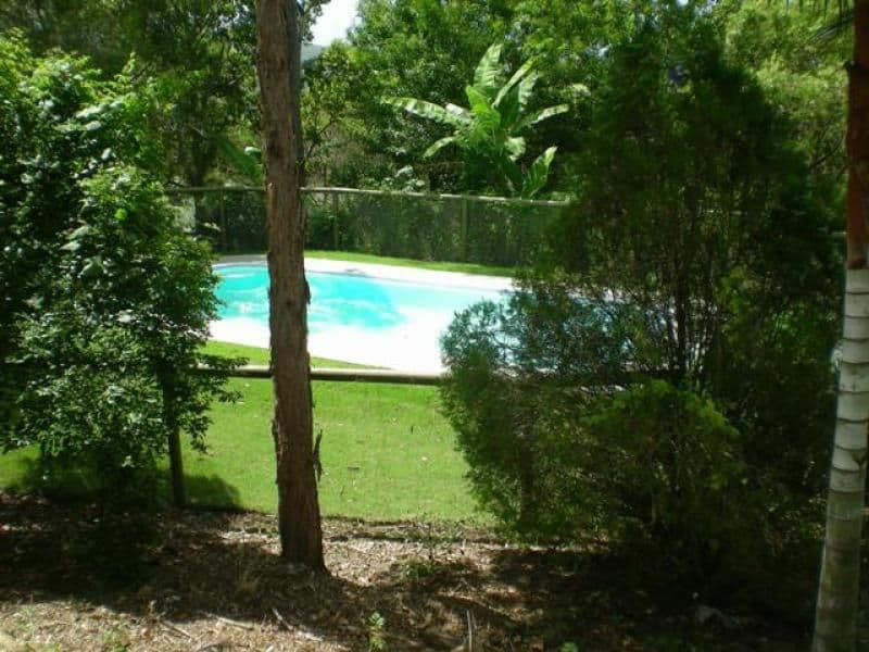 92 Thomson Valley Road, VALDORA QLD 4561, Valdora - Thumbnail 4