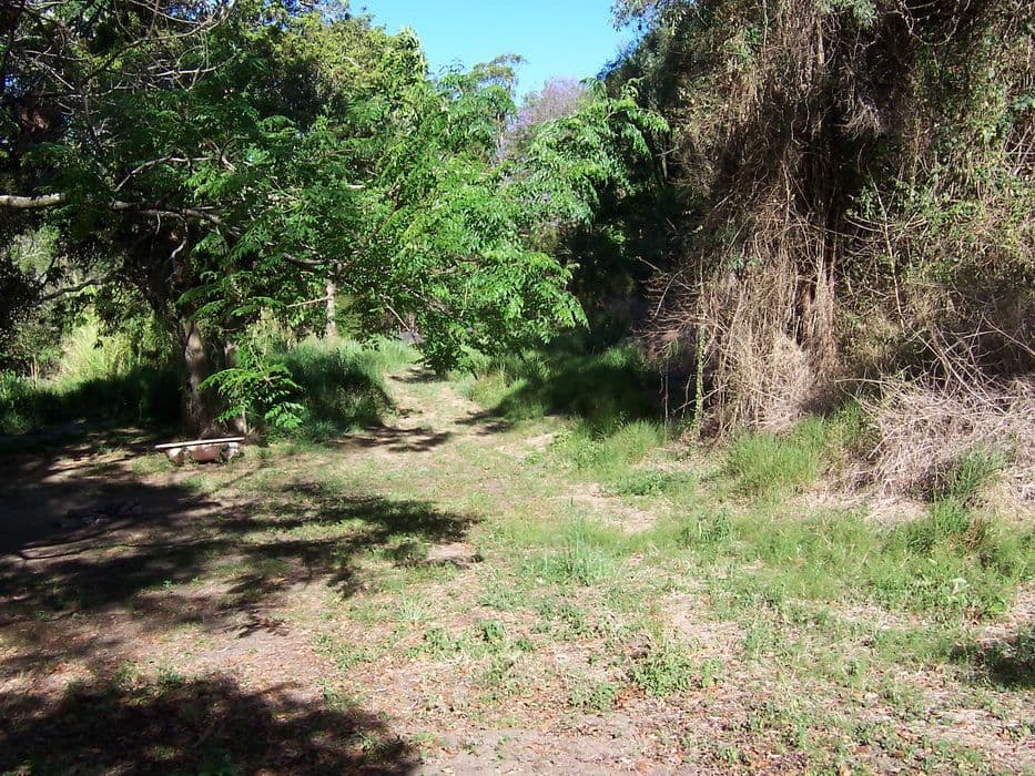 155 Dawson Creek Road, HIGHVALE QLD 4520, Highvale - Thumbnail 2