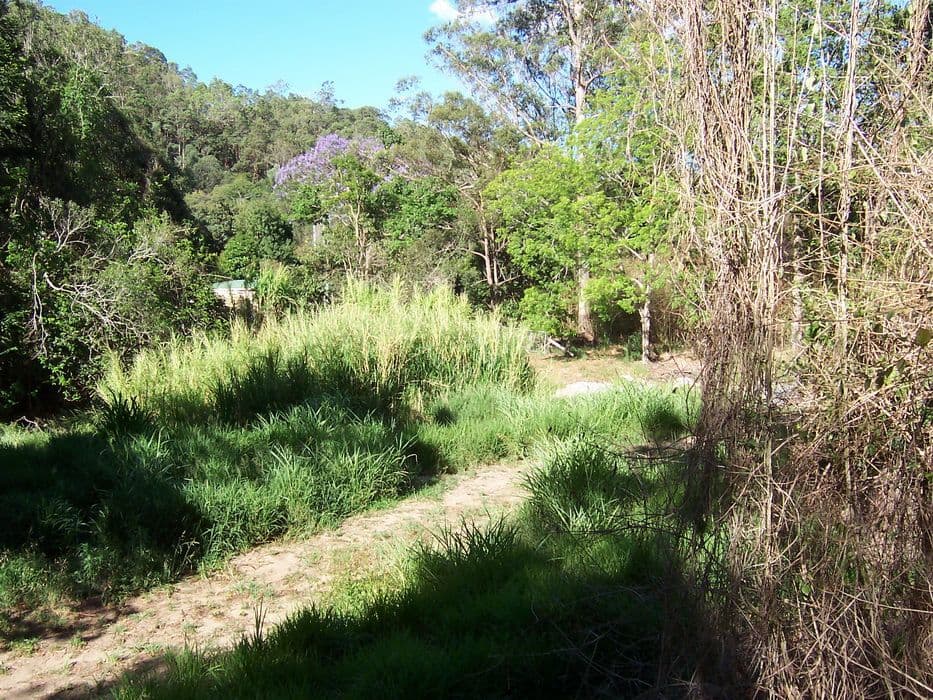 155 Dawson Creek Road, HIGHVALE QLD 4520, Highvale - Thumbnail 4