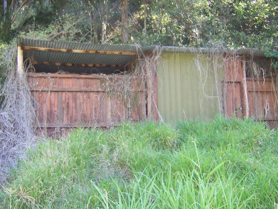 155 Dawson Creek Road, HIGHVALE QLD 4520, Highvale - Thumbnail 6
