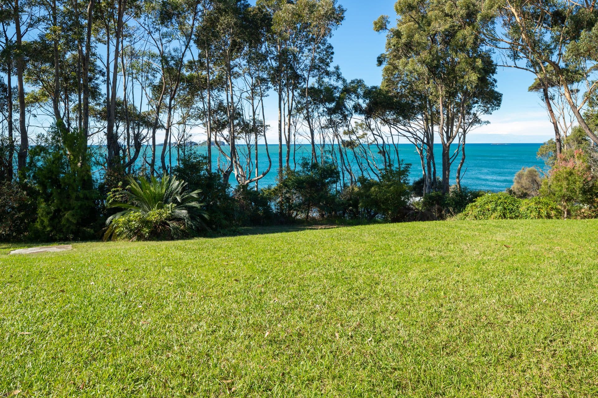 27 Burrawang Crescent, Sunshine Bay - Thumbnail 4