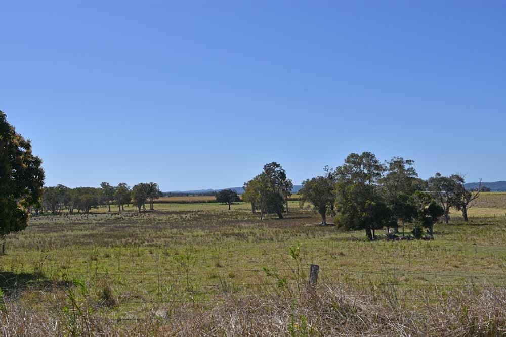 95 - 97 Havelock Street, Lawrence NSW 2460, Lawrence - Thumbnail 5