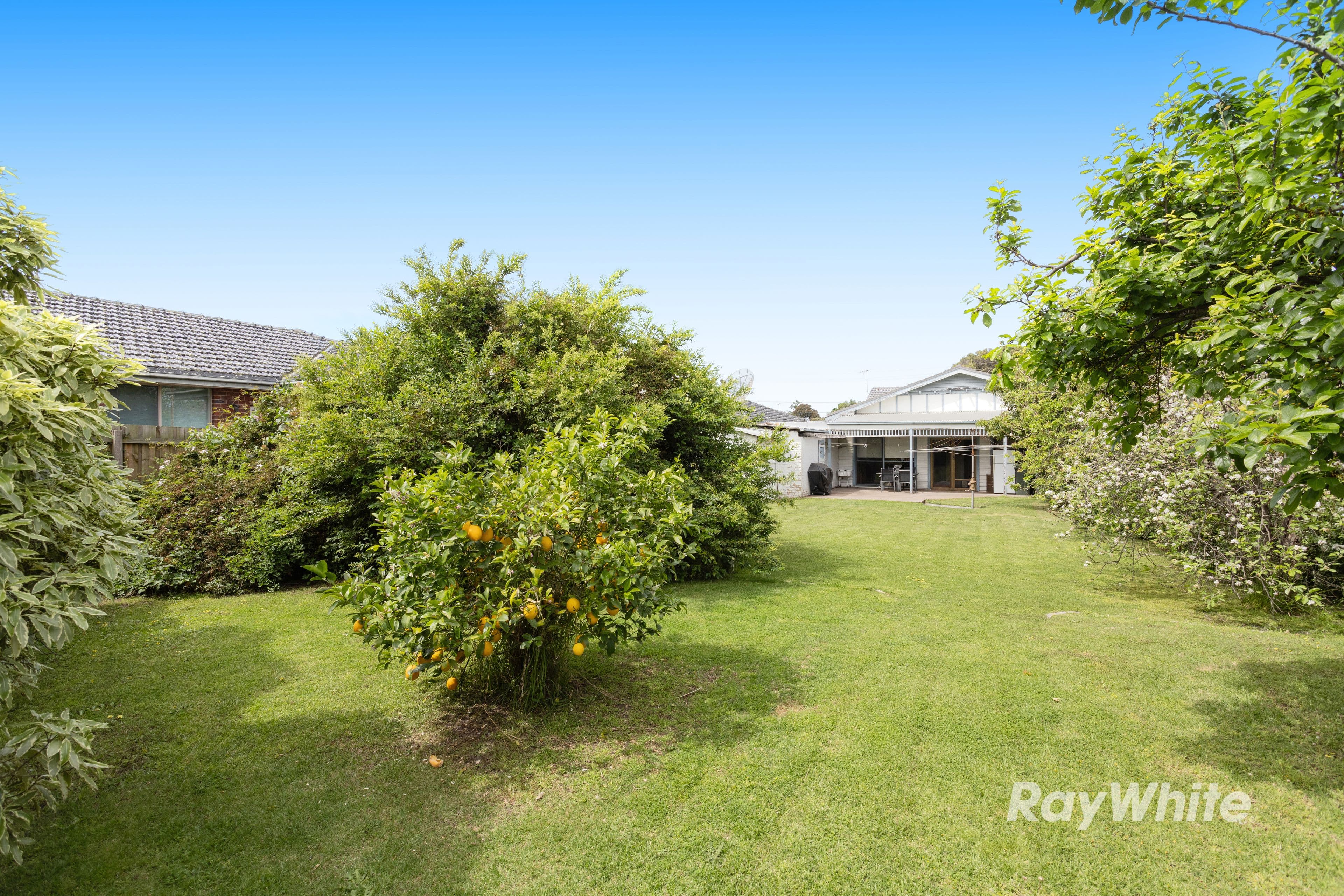41 Darling Street, Hughesdale VIC 3166, Hughesdale - Thumbnail 3