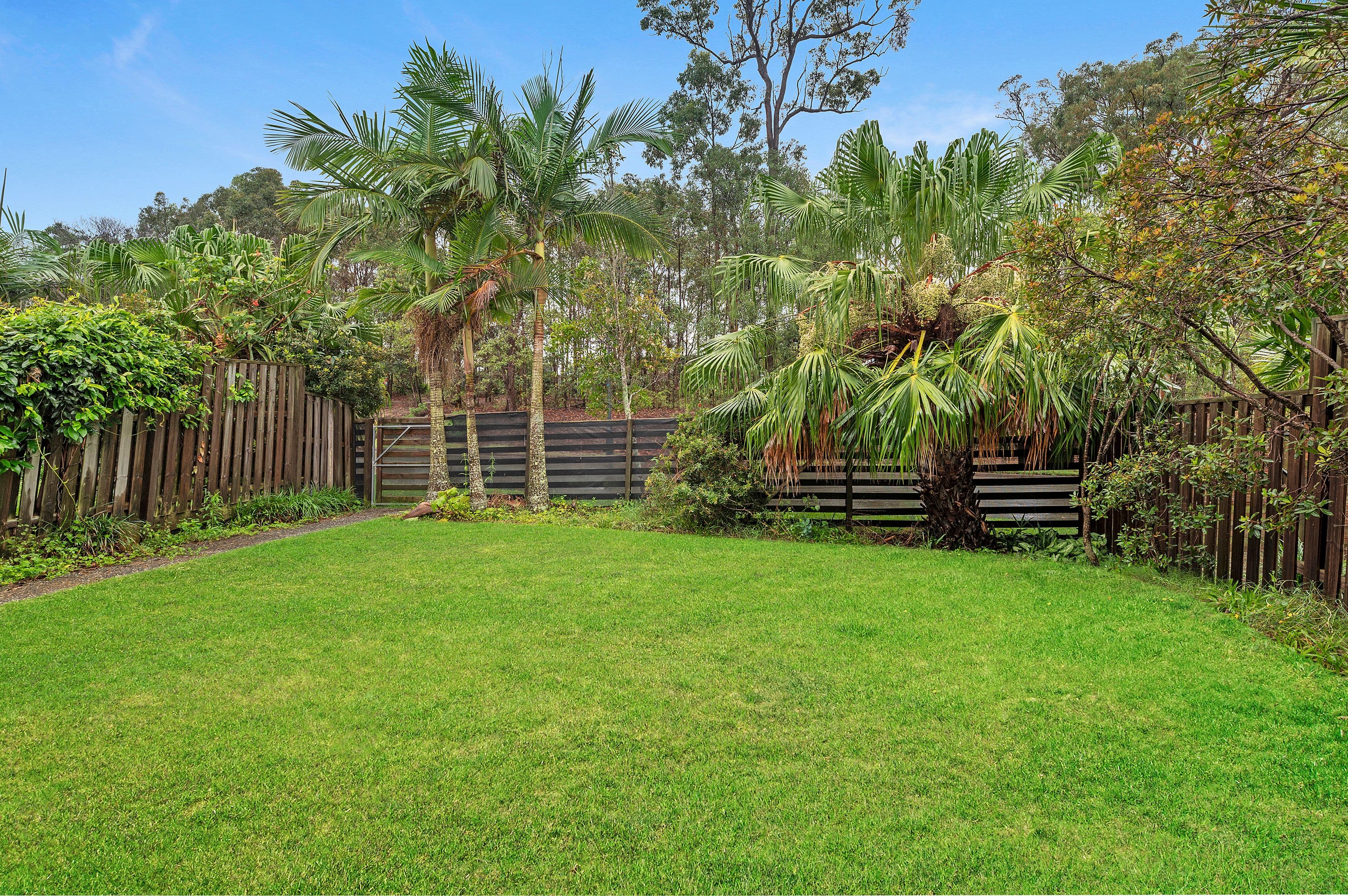 14 Cielo Lane, Coomera QLD 4209, Coomera - Thumbnail 3