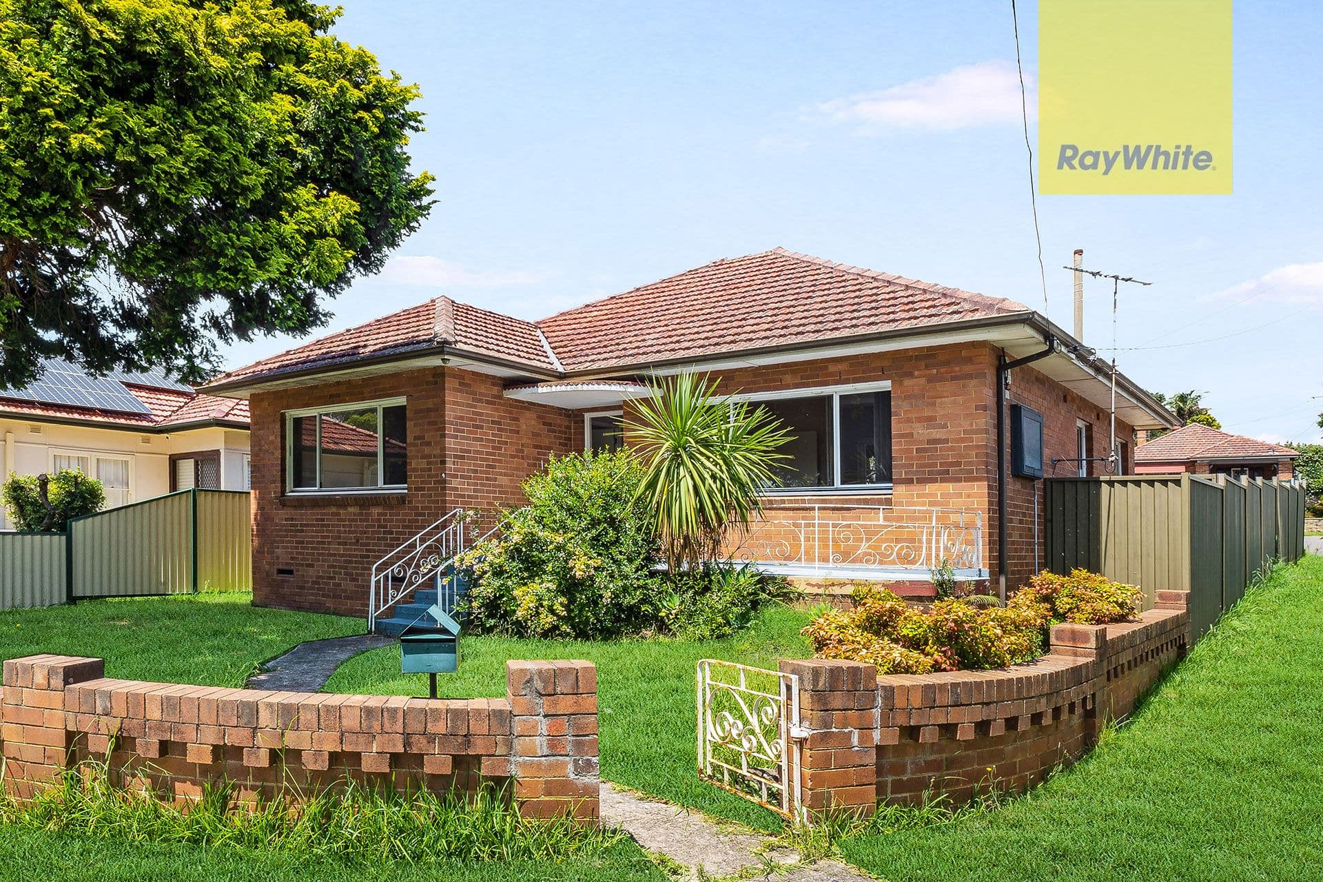 31 Webb Street, Riverwood NSW 2210, Riverwood - Image 1