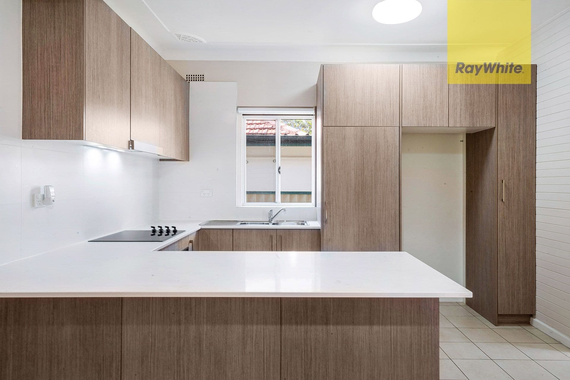 31 Webb Street, Riverwood NSW 2210, Riverwood - Thumbnail 2