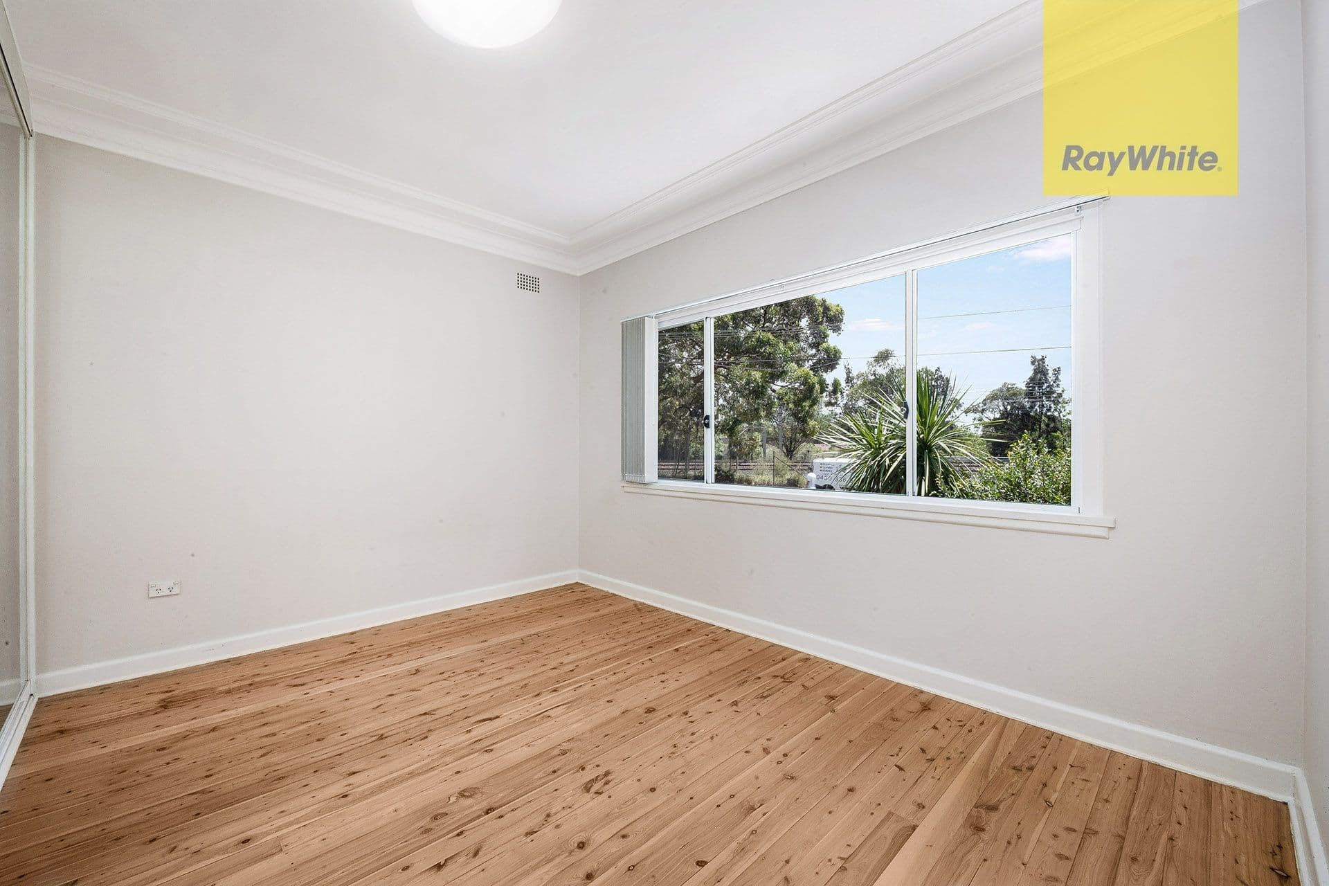 31 Webb Street, Riverwood NSW 2210, Riverwood - Thumbnail 5