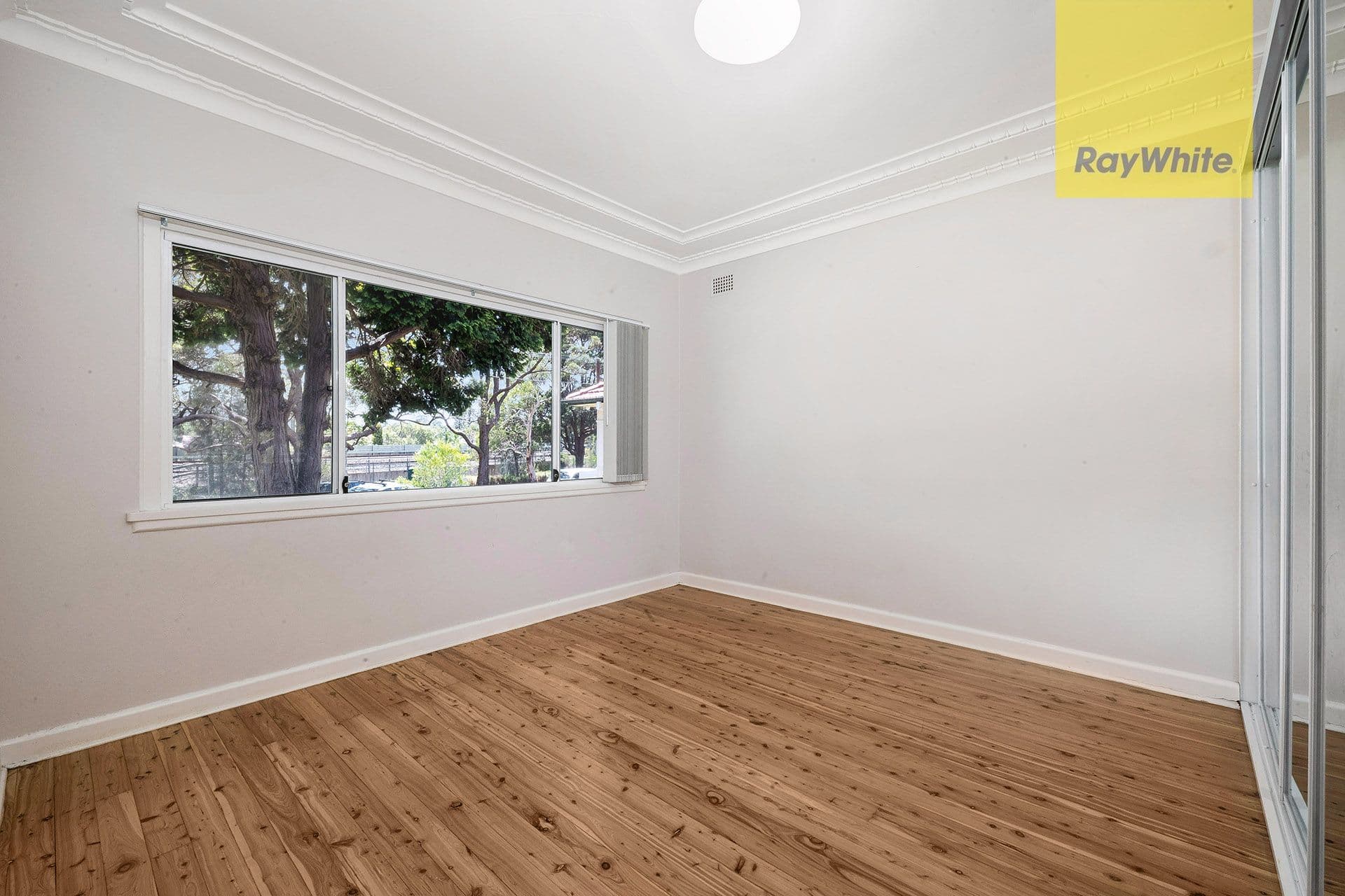 31 Webb Street, Riverwood NSW 2210, Riverwood - Thumbnail 6