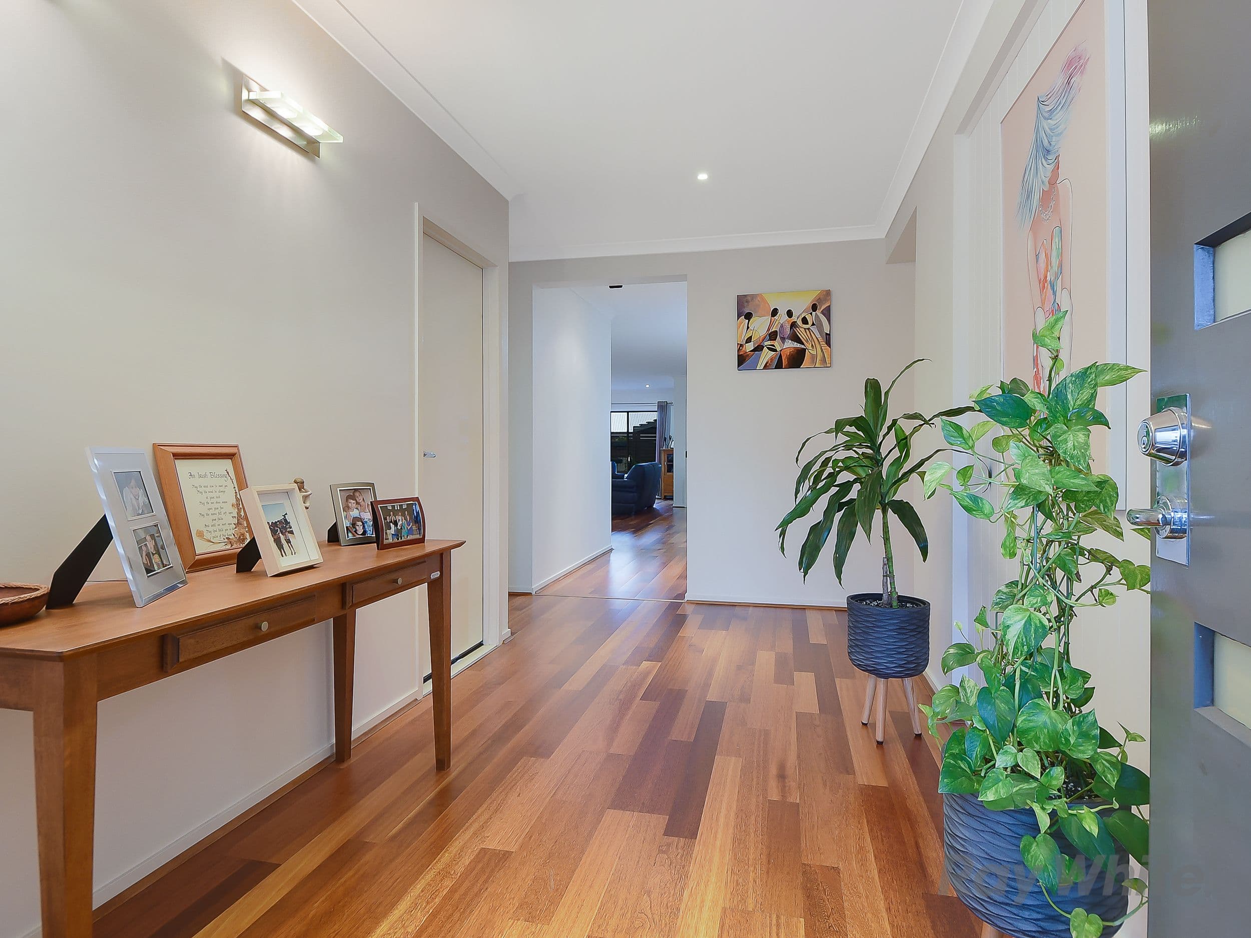 41 Elliot Street, Carseldine QLD 4034, Carseldine - Thumbnail 2