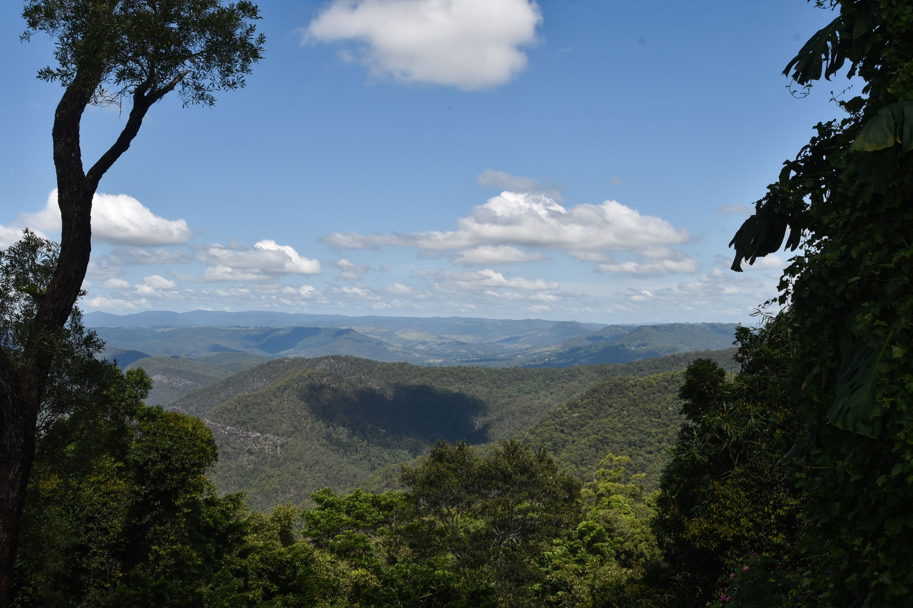 100 Coomera Gorge Drive, Tamborine Mountain QLD 4272, Tamborine Mountain - Image 1