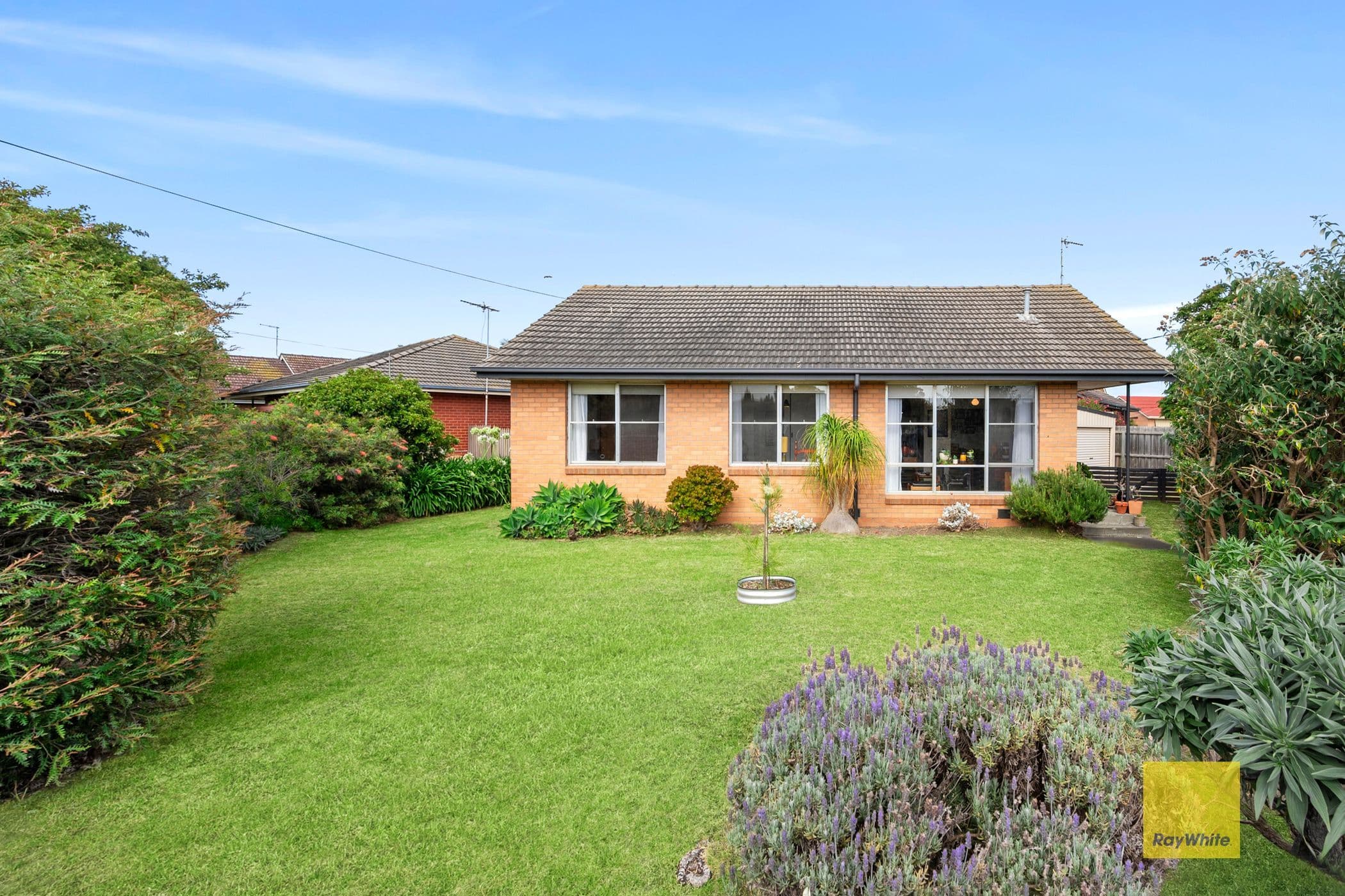 1 Vega Court, Newcomb VIC 3219, Newcomb - Image 1