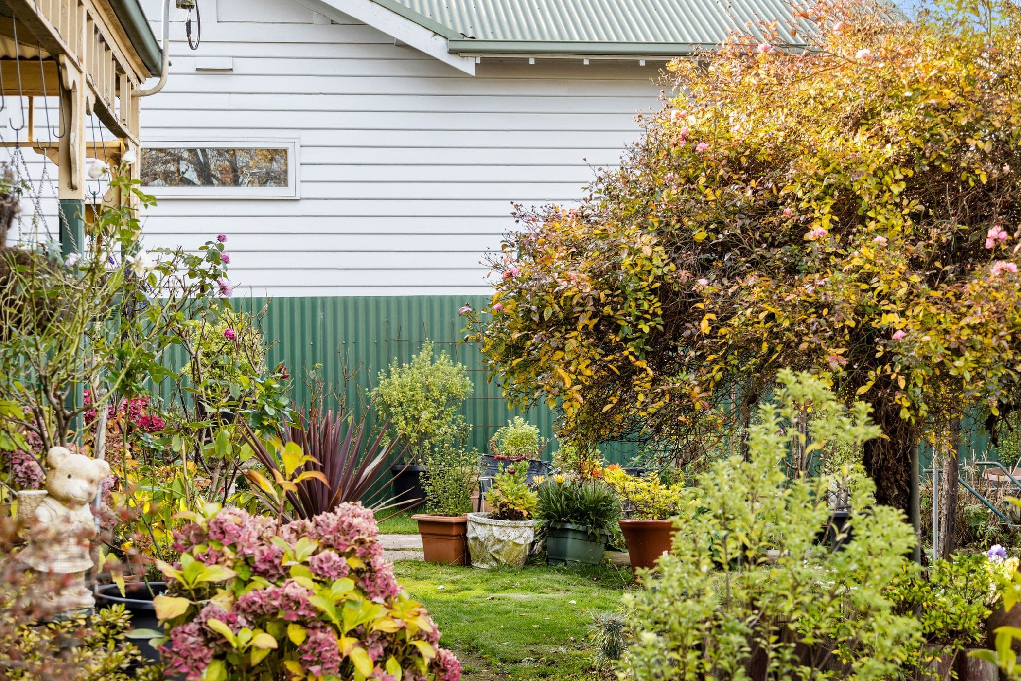 1 New Street, Kyneton VIC 3444, Kyneton - Thumbnail 4