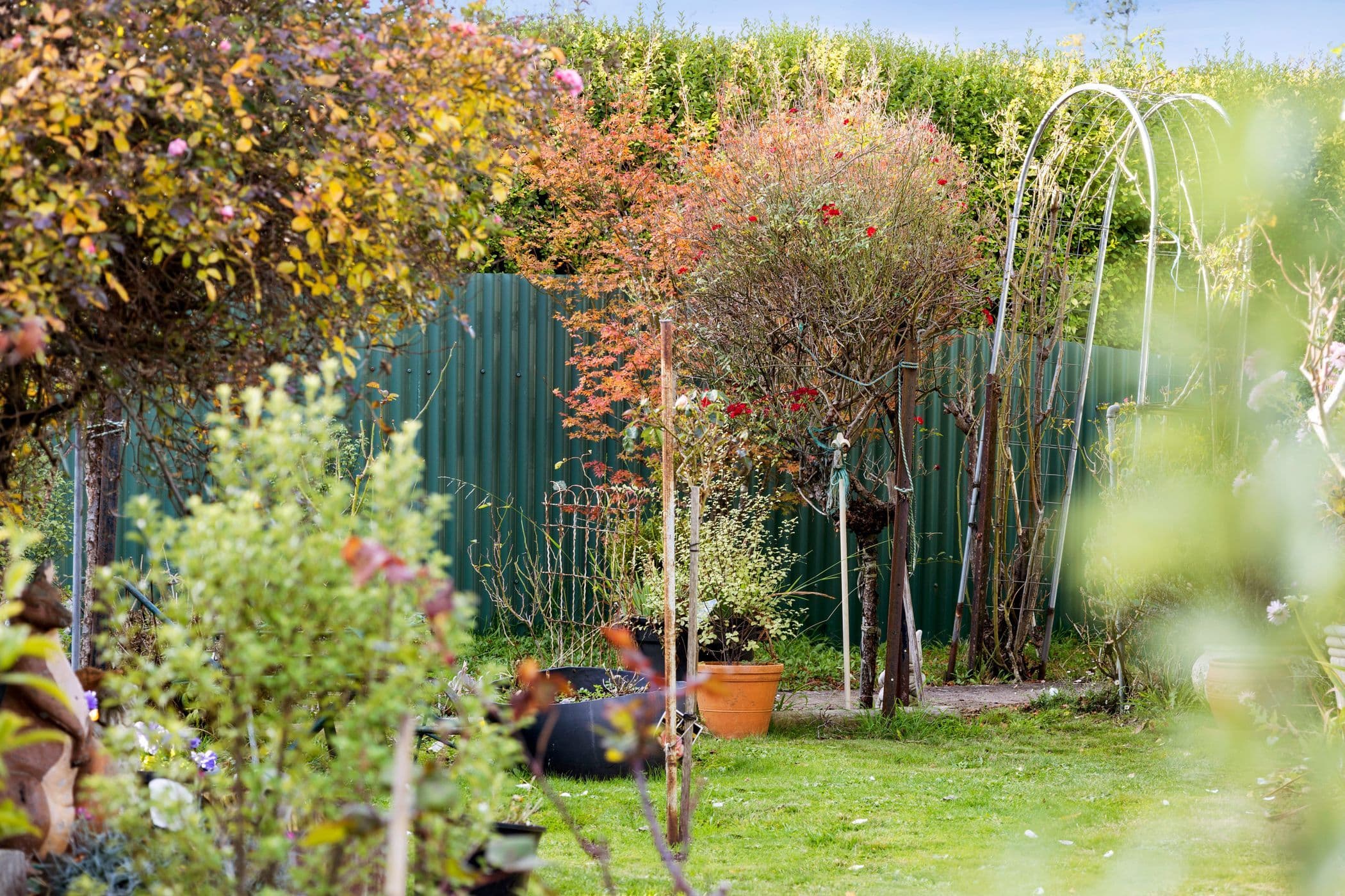 1 New Street, Kyneton VIC 3444, Kyneton - Thumbnail 6