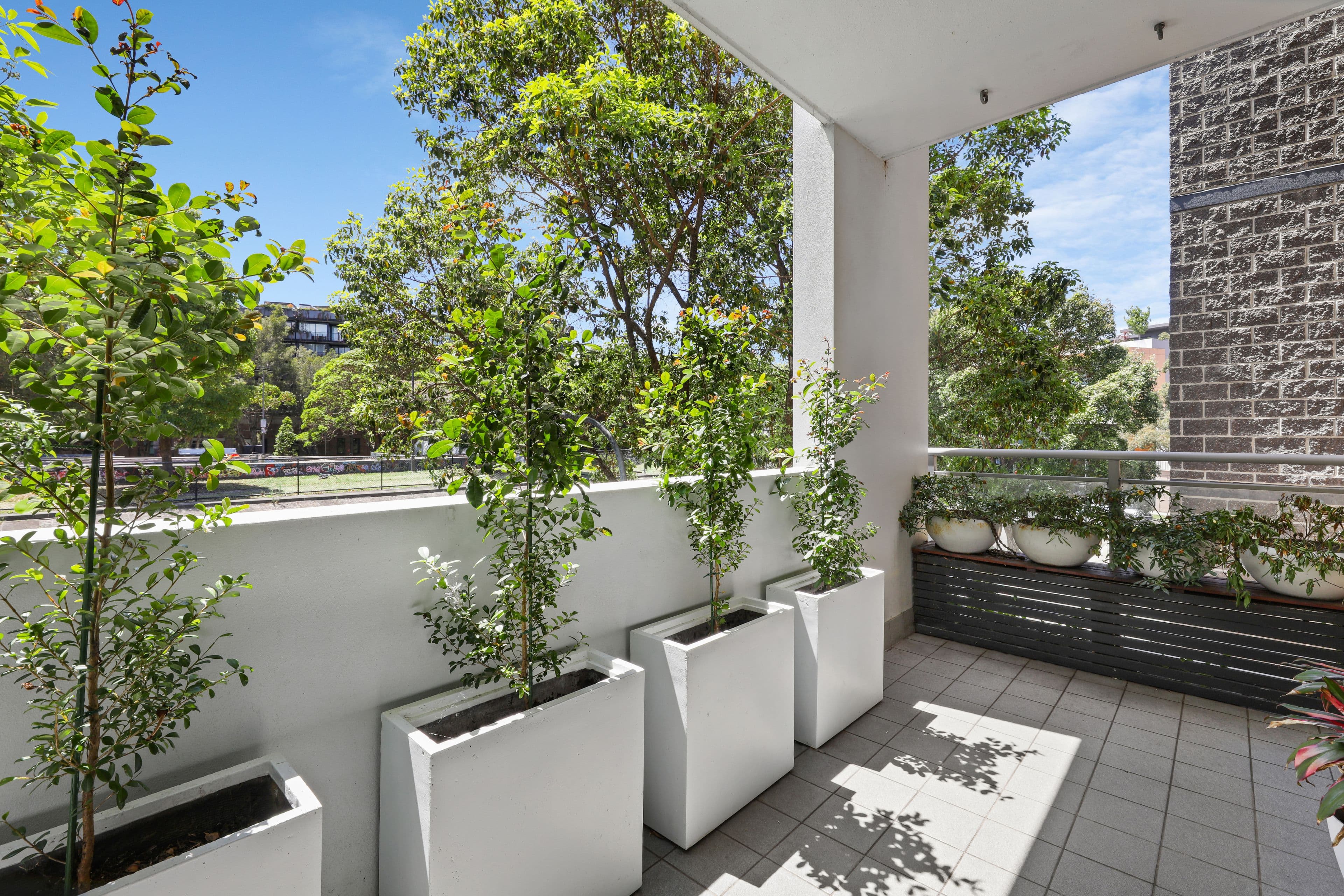 268 Pitt Street, Waterloo NSW 2017, Waterloo - Thumbnail 5
