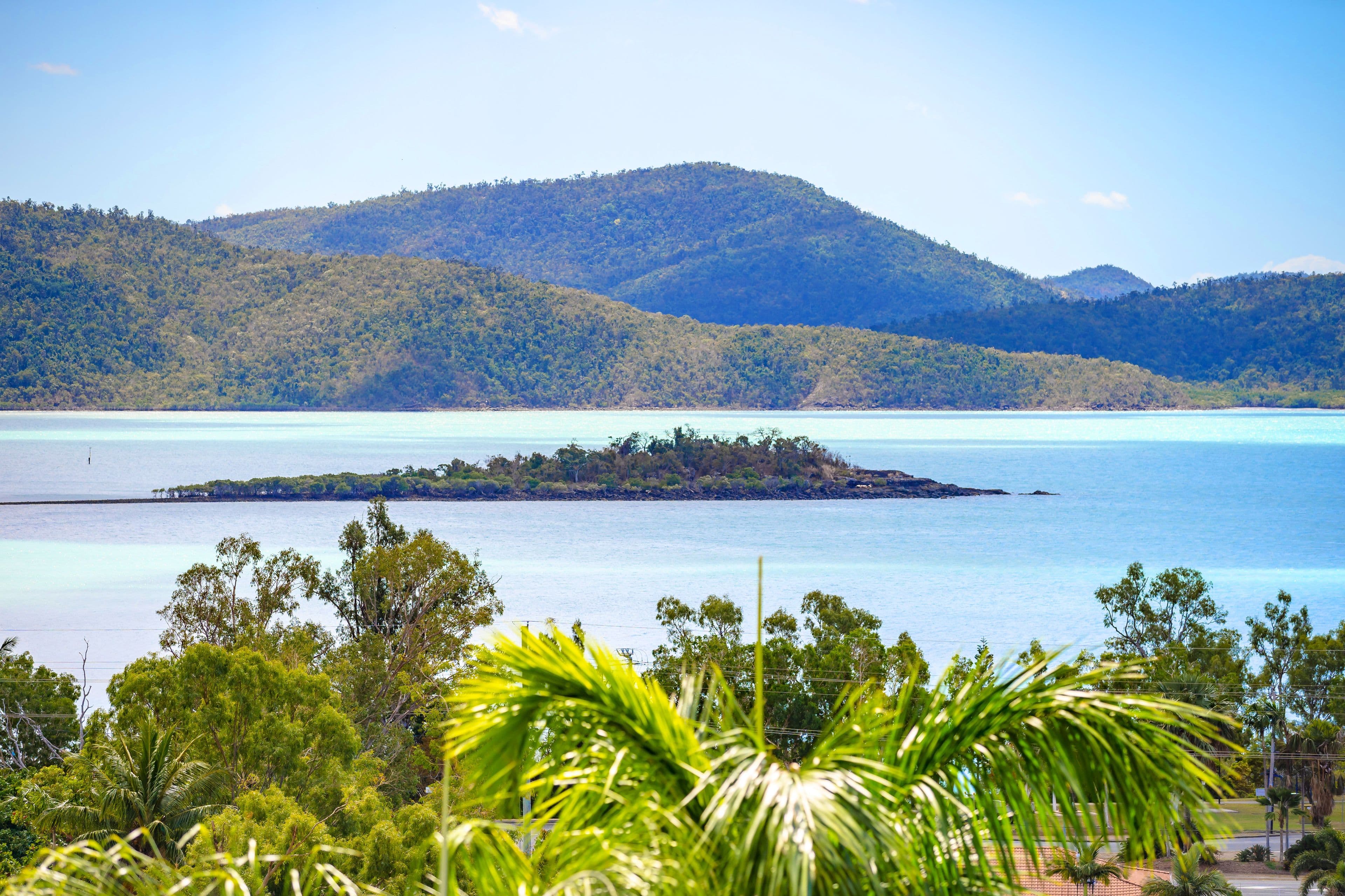 61 Eshelby Drive, Cannonvale QLD 4802, Cannonvale - Thumbnail 3