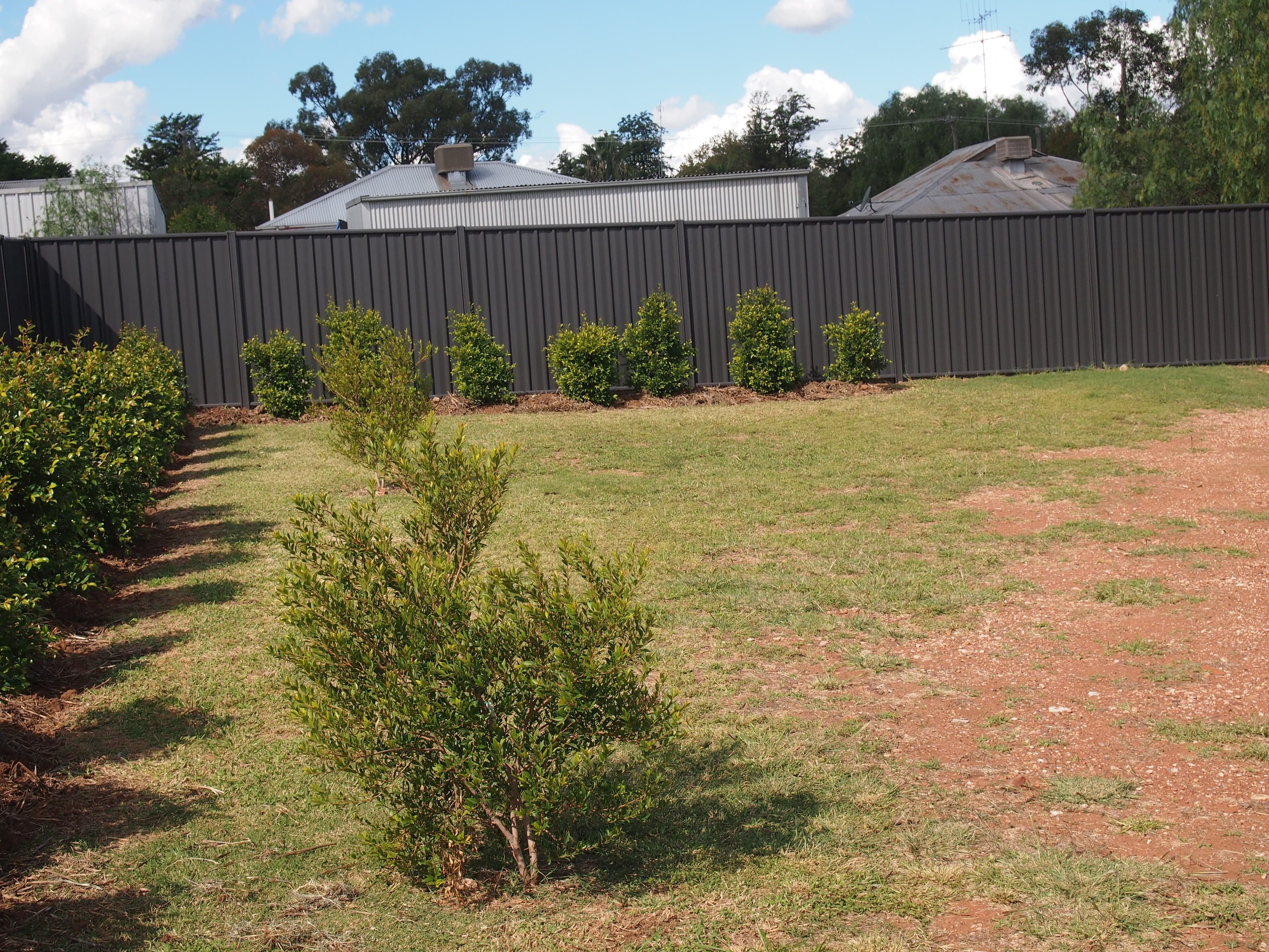 23 Melrose Street, Condobolin - Thumbnail 4
