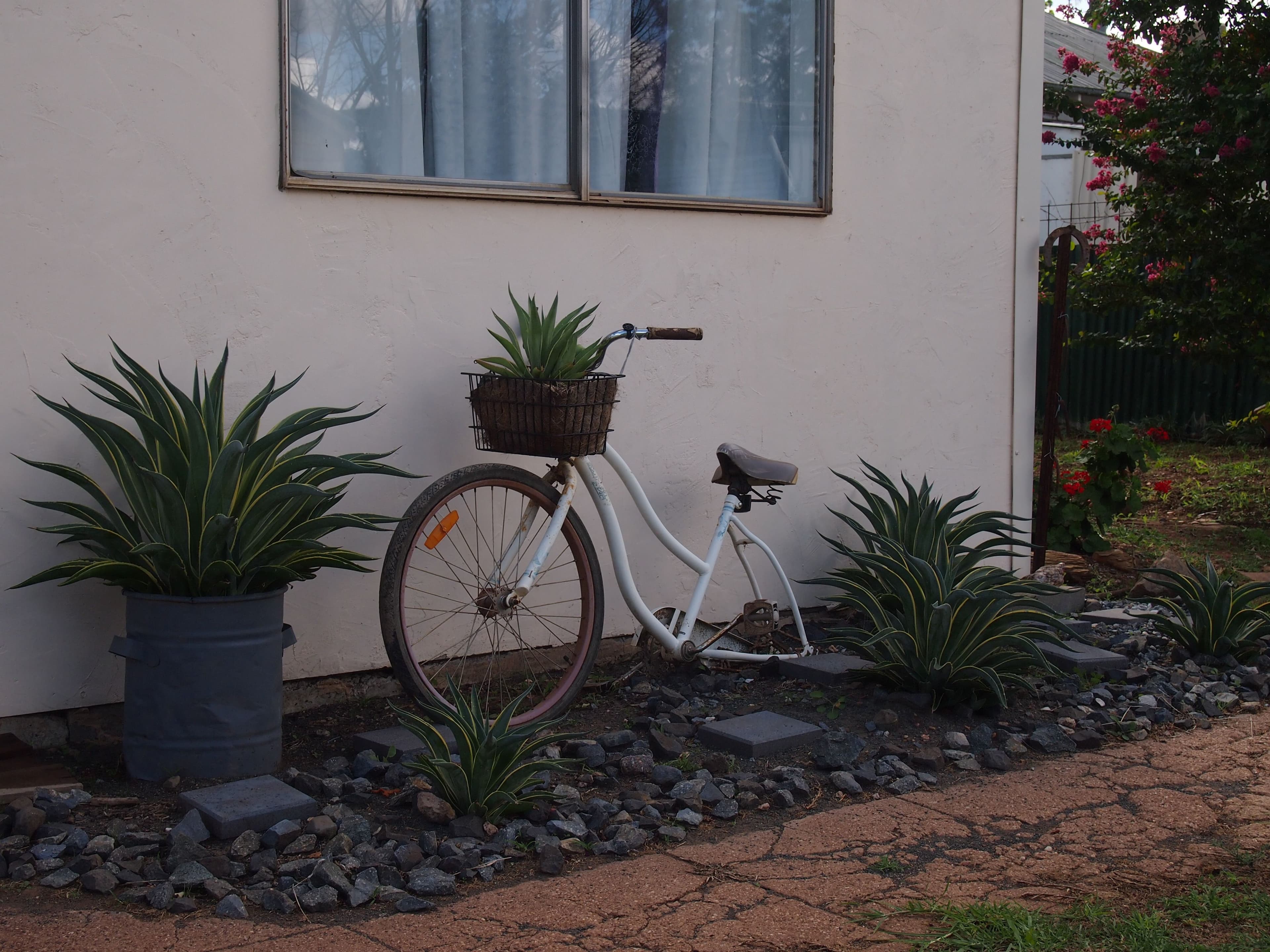 23 Melrose Street, Condobolin - Thumbnail 6