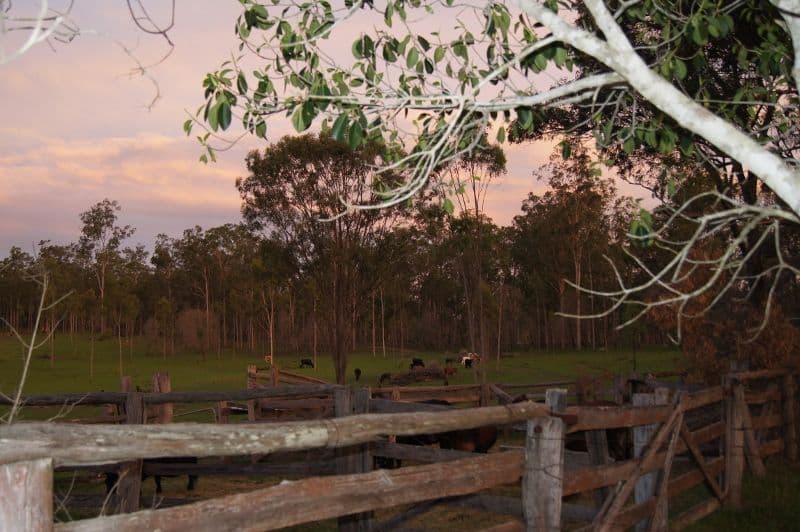 Lot 65 Forty Road, Brooweena QLD 4620, Brooweena - Image 1
