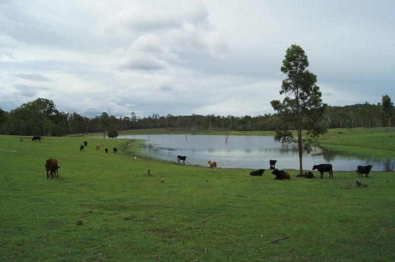 Lot 65 Forty Road, Brooweena QLD 4620, Brooweena - Thumbnail 5