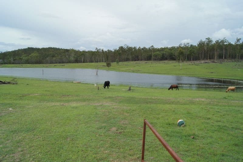 Lot 65 Forty Road, Brooweena QLD 4620, Brooweena - Thumbnail 7