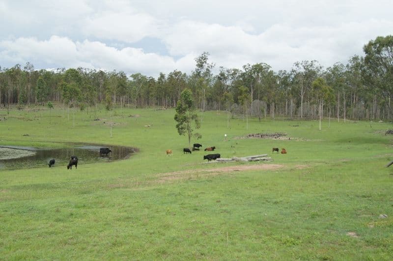 Lot 65 Forty Road, Brooweena QLD 4620, Brooweena - Thumbnail 8