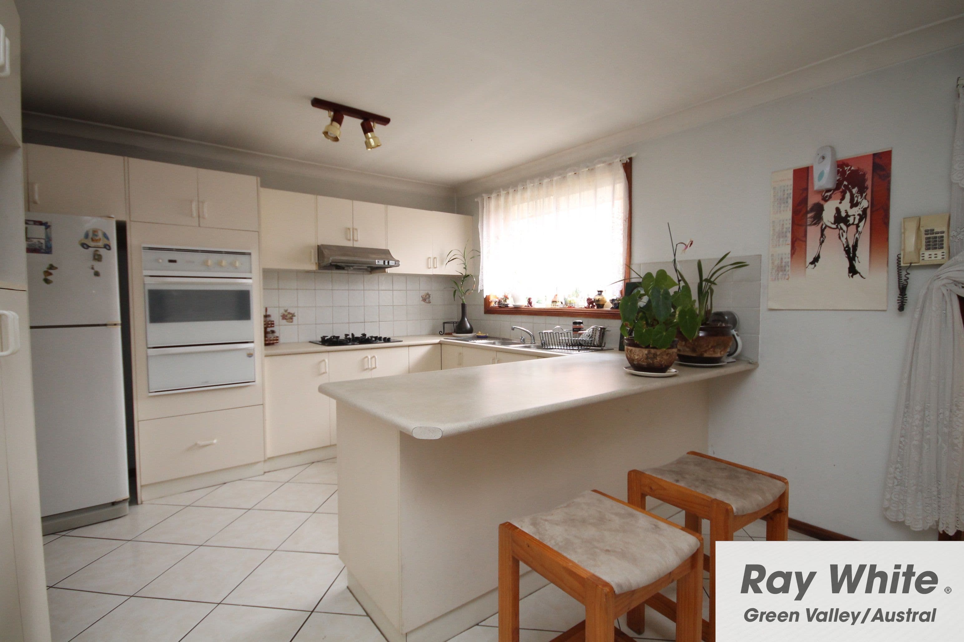 6 Shearwater Road, Hinchinbrook - Thumbnail 2