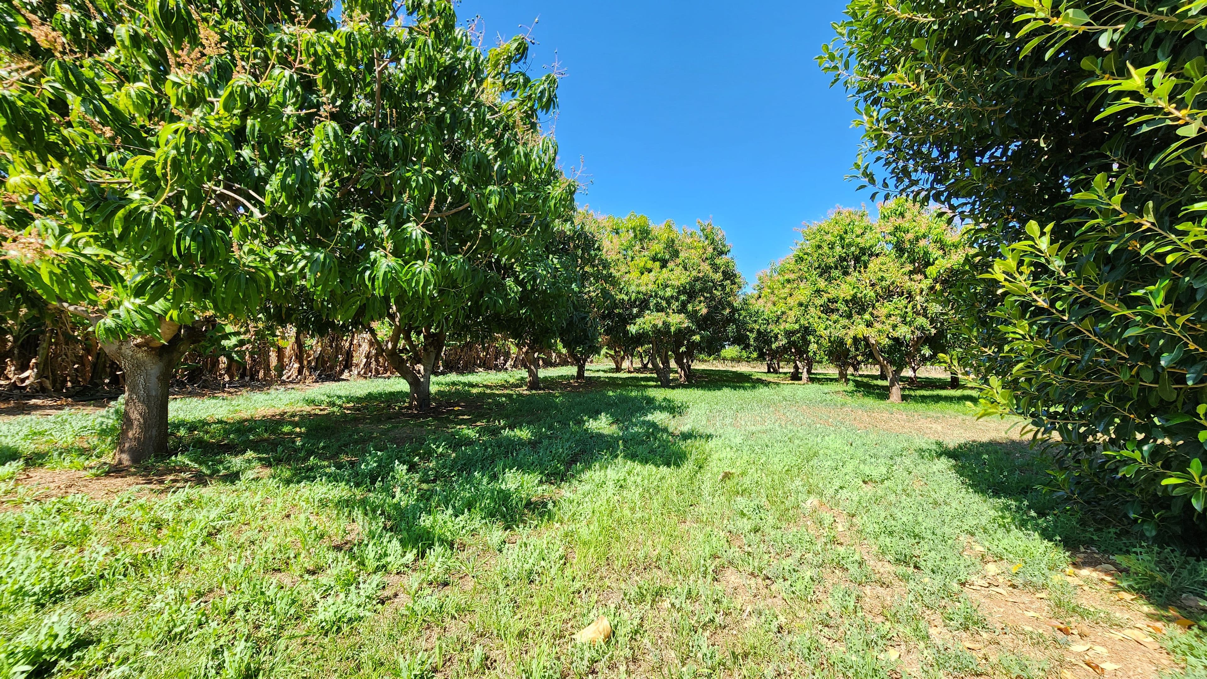 1035 North West Coastal Highway, Carnarvon WA 6701, Carnarvon - Thumbnail 7