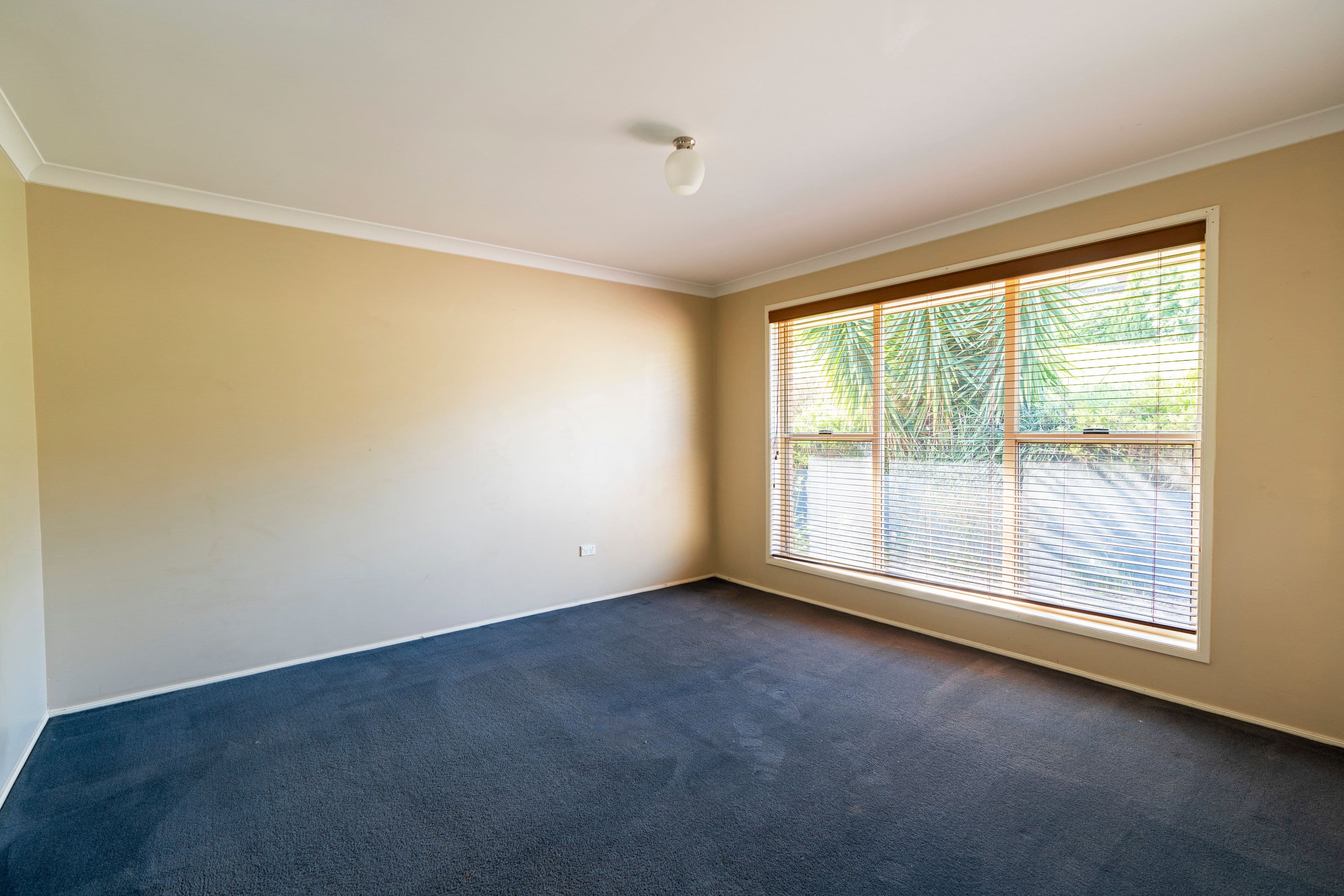 44 Warrigal Street, Nowra - Thumbnail 7