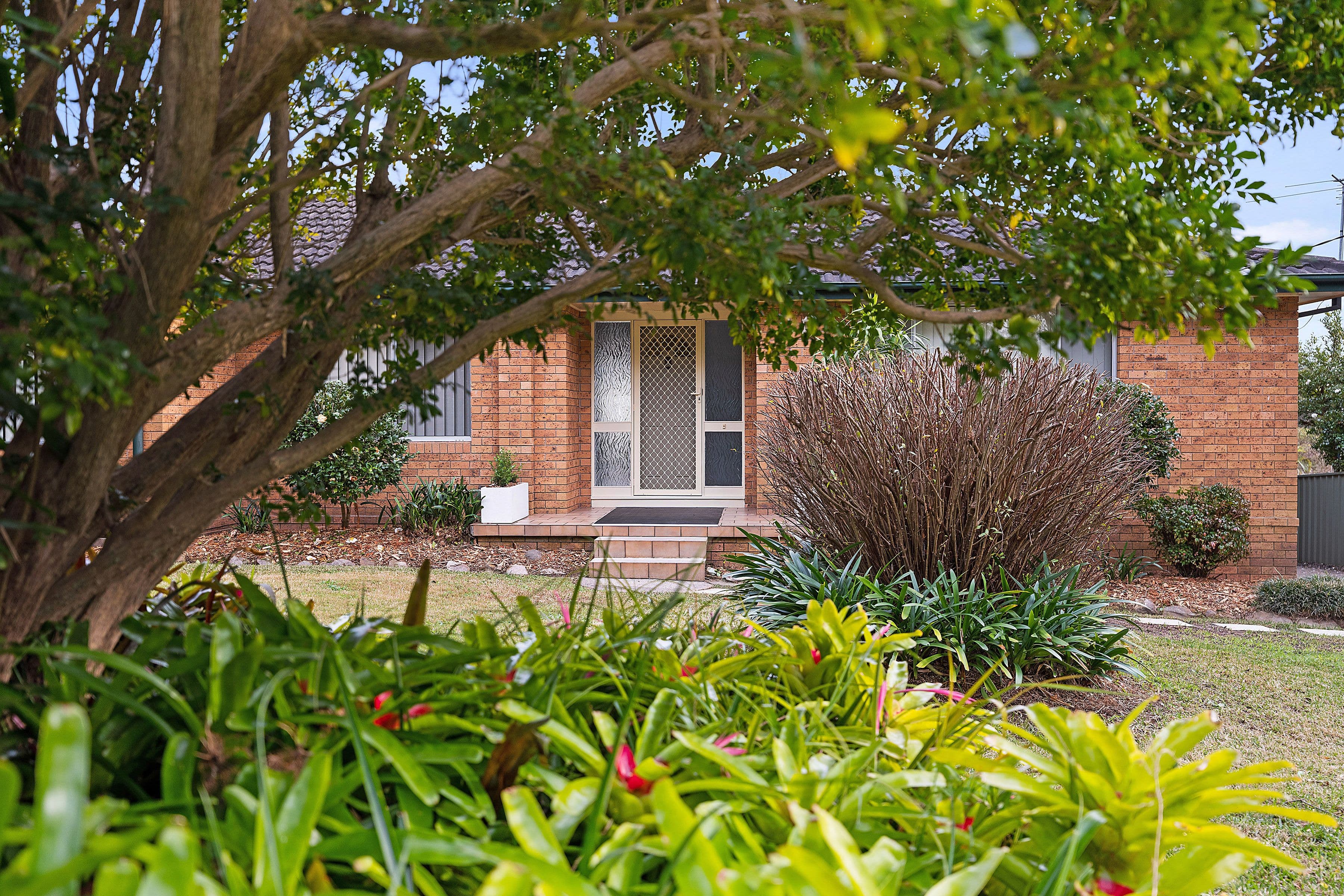 9 Dora Street, Morisset NSW 2264, Morisset - Thumbnail 3