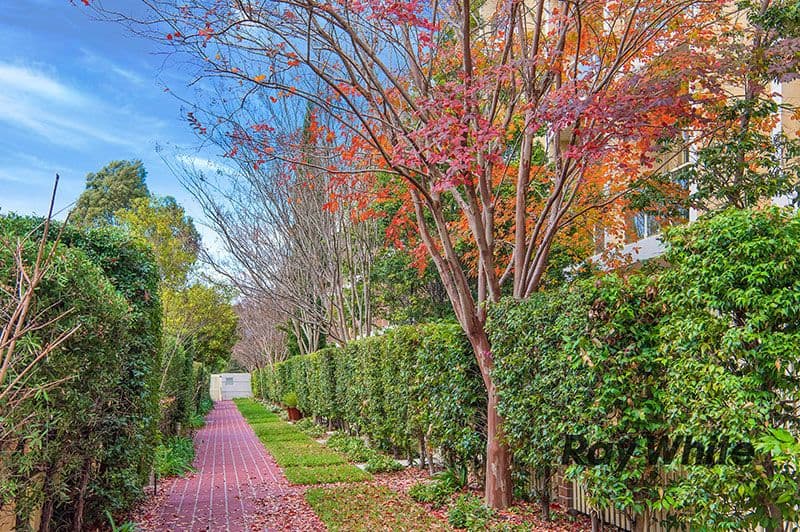 18 Day Street North, Silverwater NSW 2128, Silverwater - Thumbnail 6