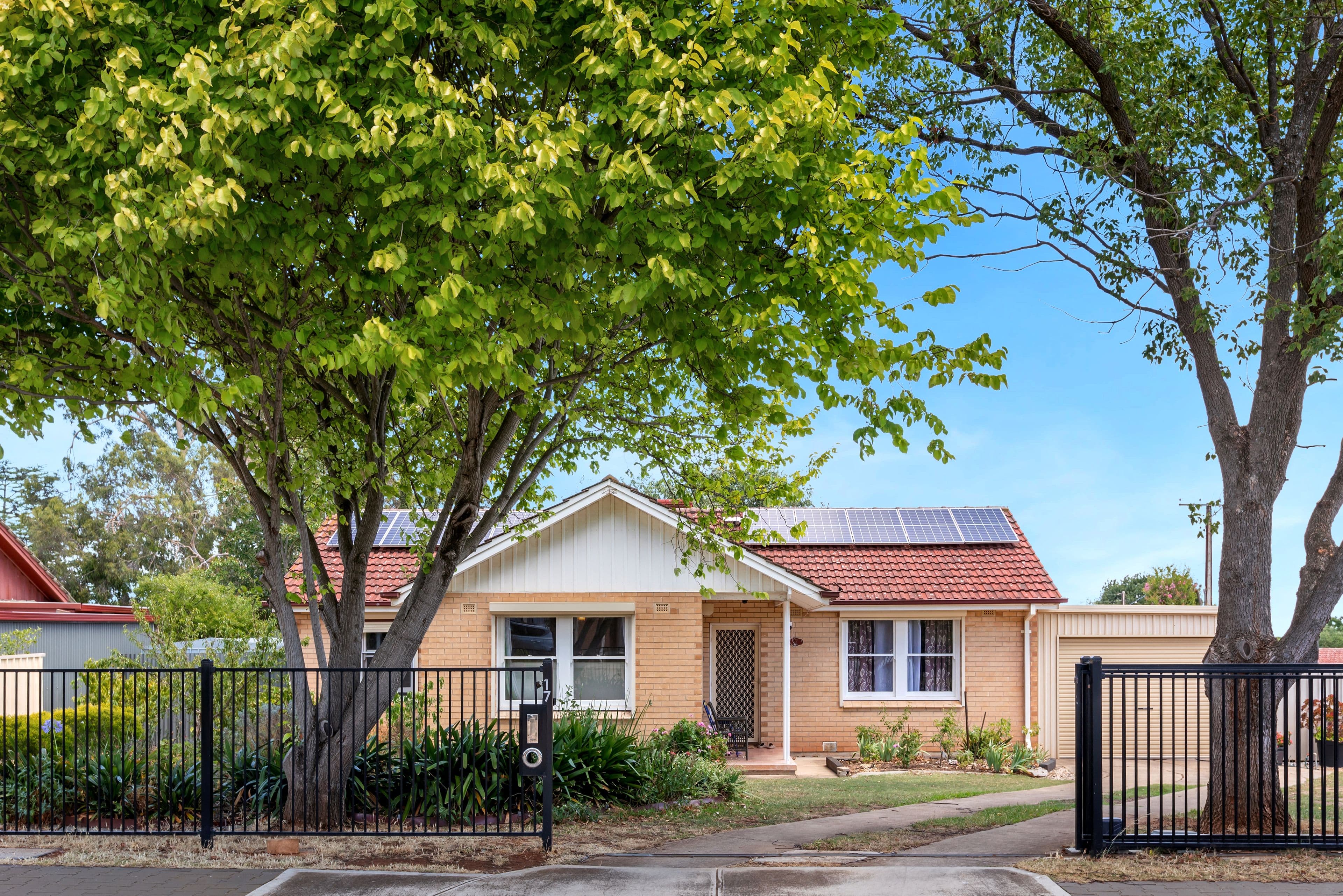 17 Bridport Street, Elizabeth Park SA 5113, Elizabeth Park - Thumbnail 2