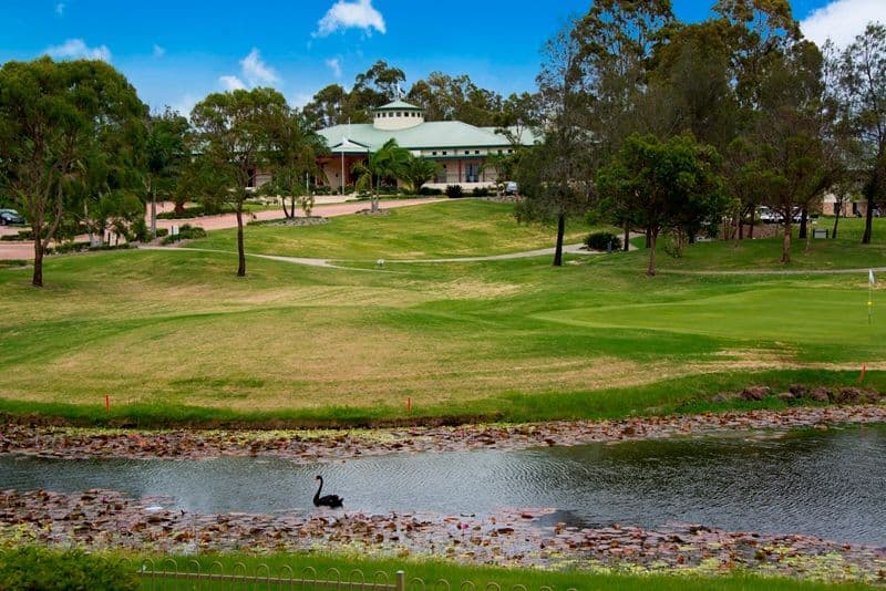 4 Steyning Court, ARUNDEL QLD 4214, Arundel - Thumbnail 6