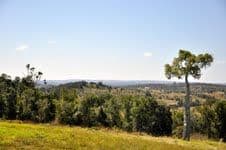 63 Hilltop Drive, GOWRIE JUNCTION QLD 4352, Gowrie Junction - Thumbnail 5