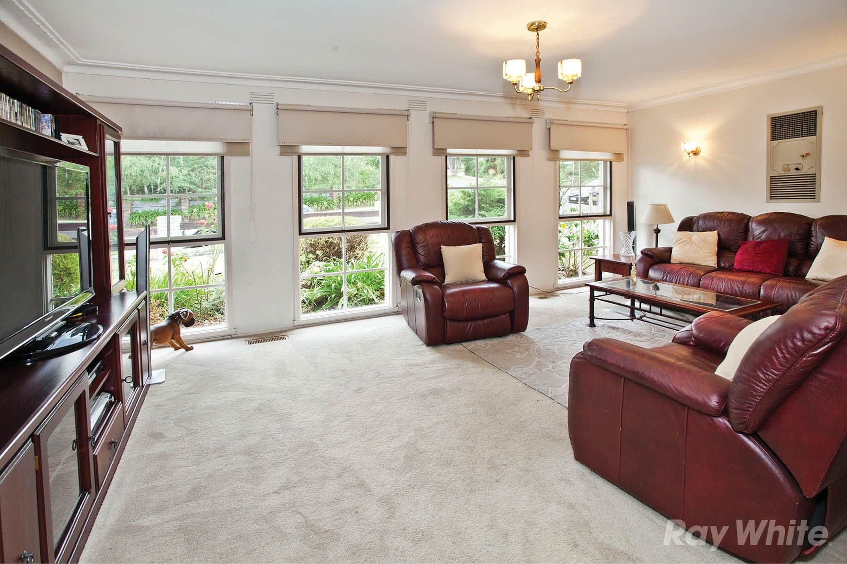 10 Fortescue Grove, Vermont South VIC 3133, Vermont South - Thumbnail 5
