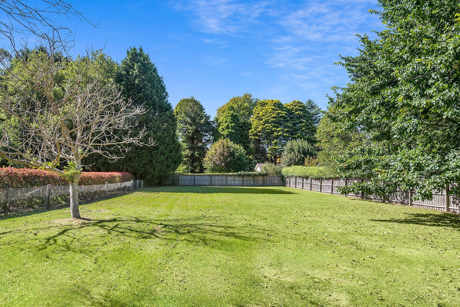 8 Lovelle Street, Moss Vale NSW 2577, Moss Vale - Thumbnail 8