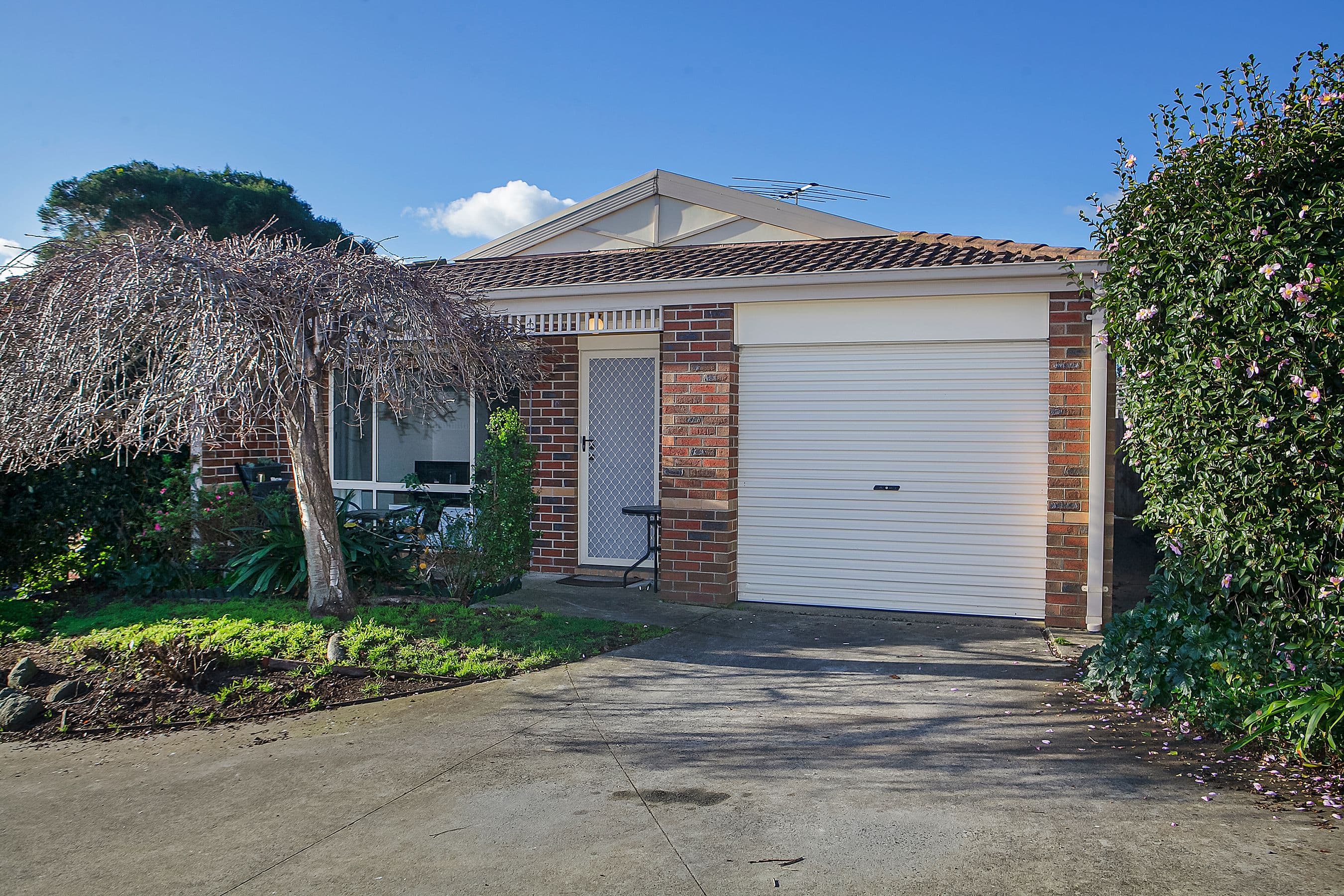 293 Cranbourne-Frankston Road, Langwarrin VIC 3910, Langwarrin - Image 1