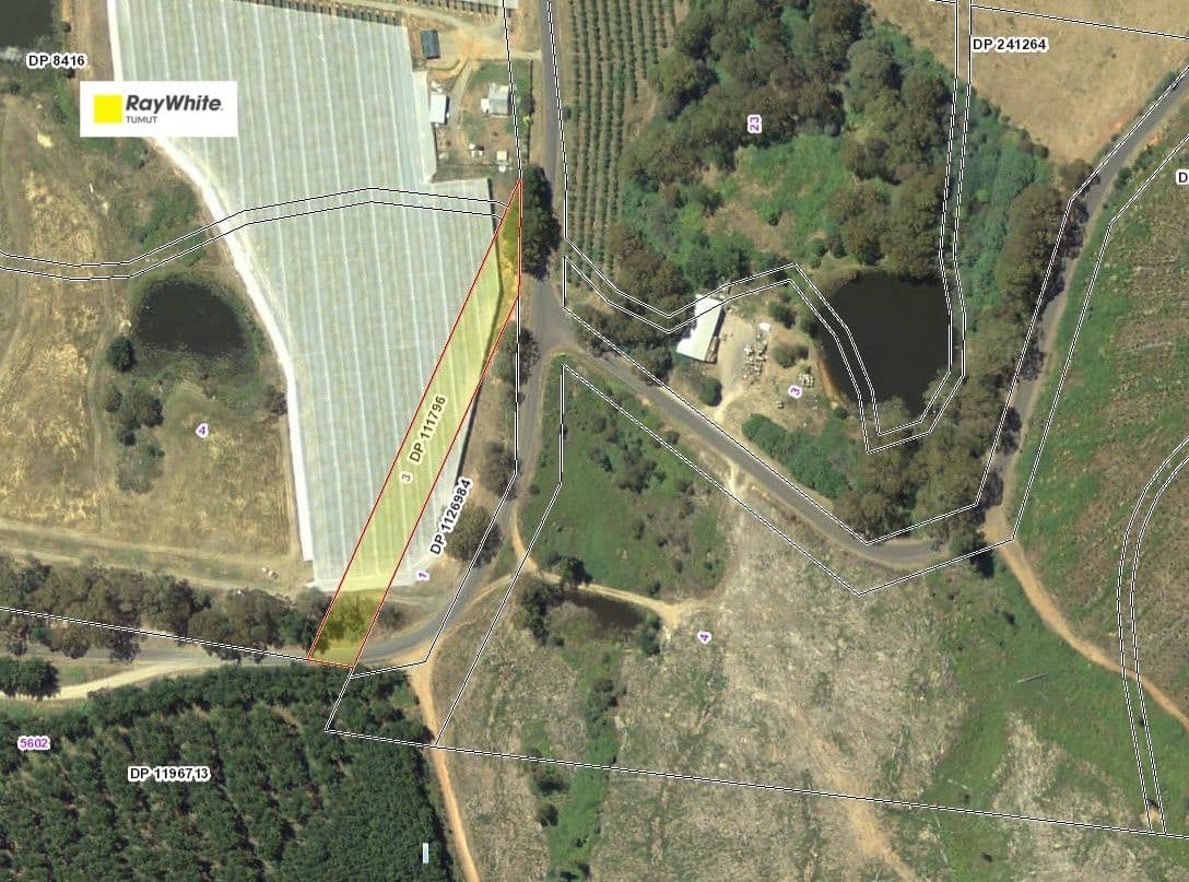 Forest Road, Batlow NSW 2730, Batlow - Image 1