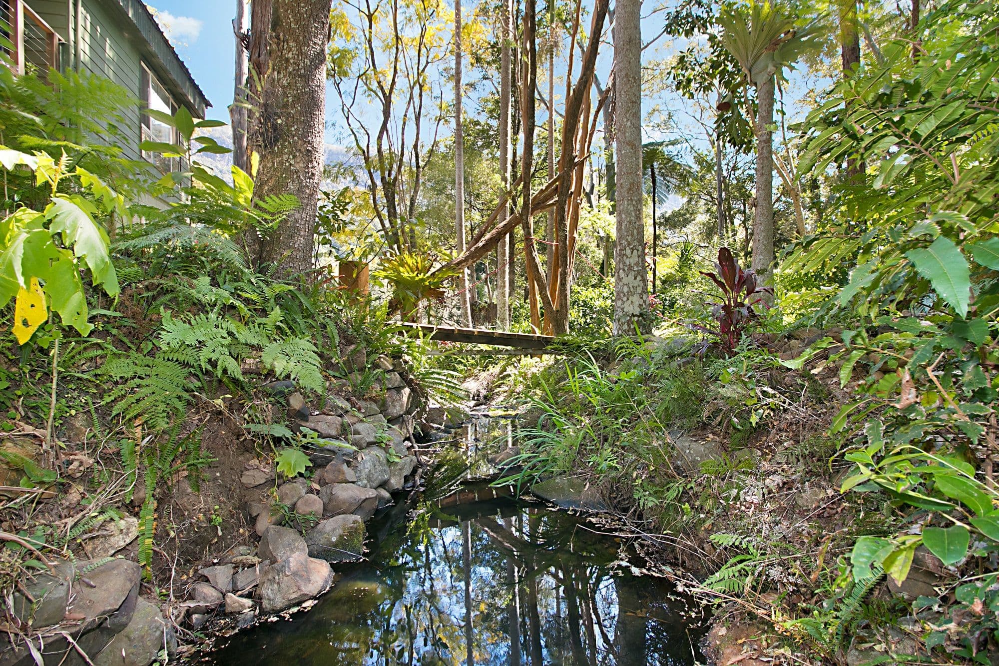 2935 Nerang-Murwillumbah Road, Natural Bridge QLD 4211, Natural Bridge - Thumbnail 2