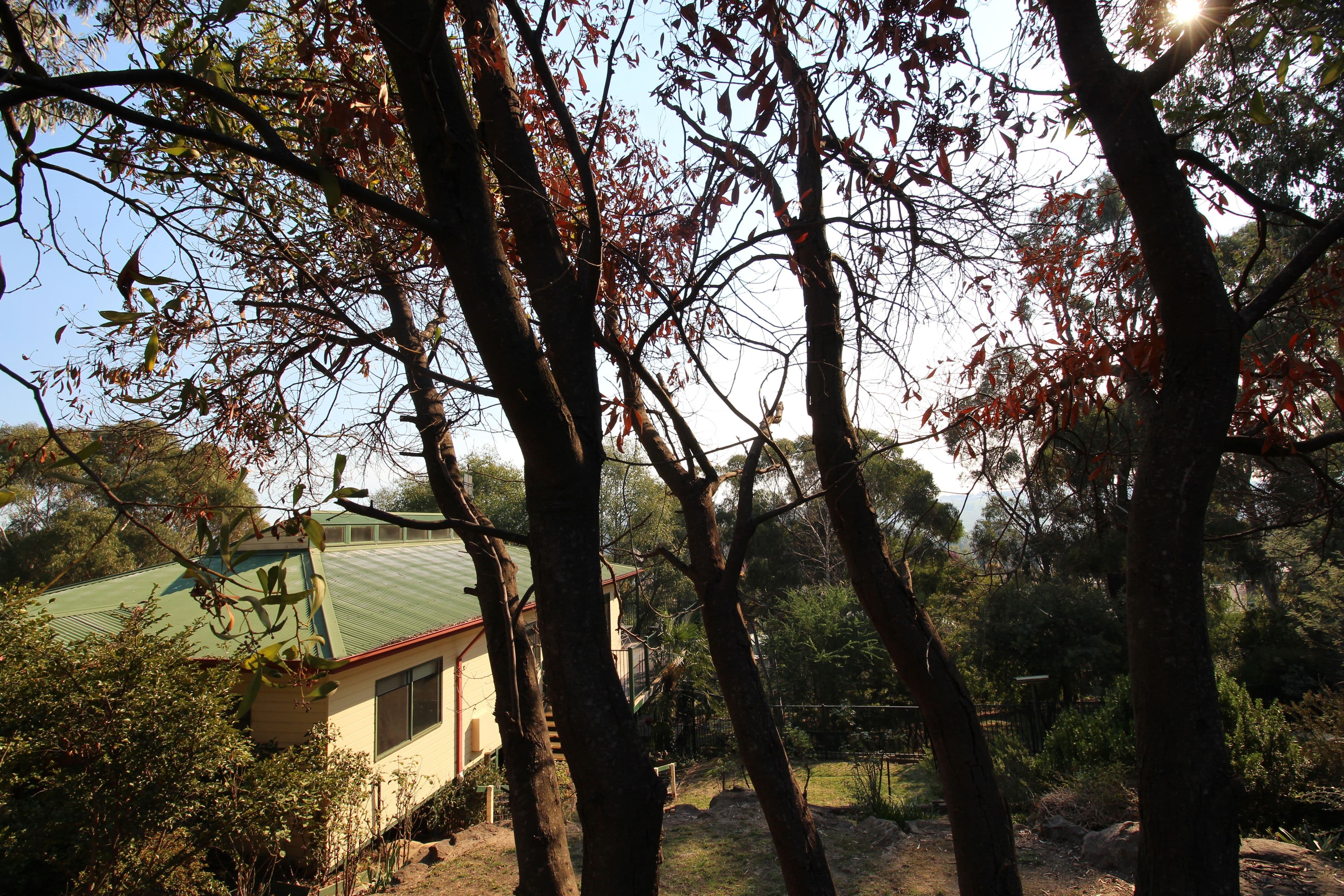 73 Gilbert Street, Tumbarumba - Thumbnail 2