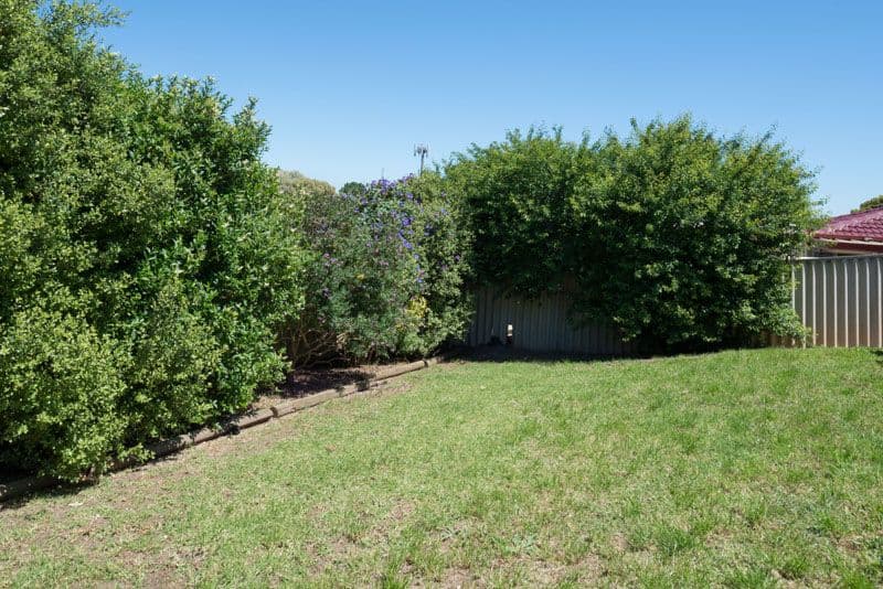 5 Cassia Street, SURREY DOWNS SA 5126, Surrey Downs - Thumbnail 7