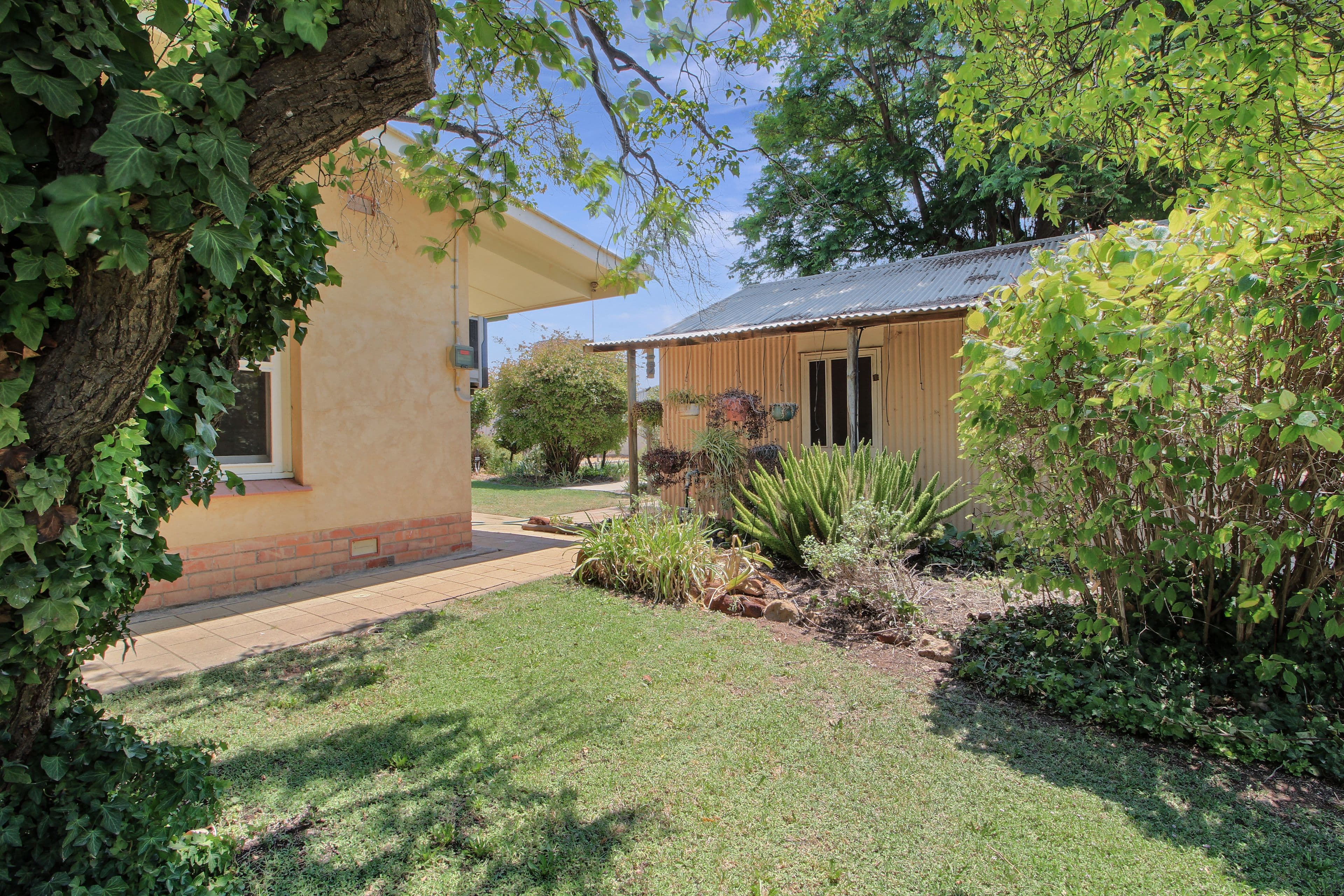 125 Twentyseventh Street, Renmark SA 5341, Renmark South - Thumbnail 2