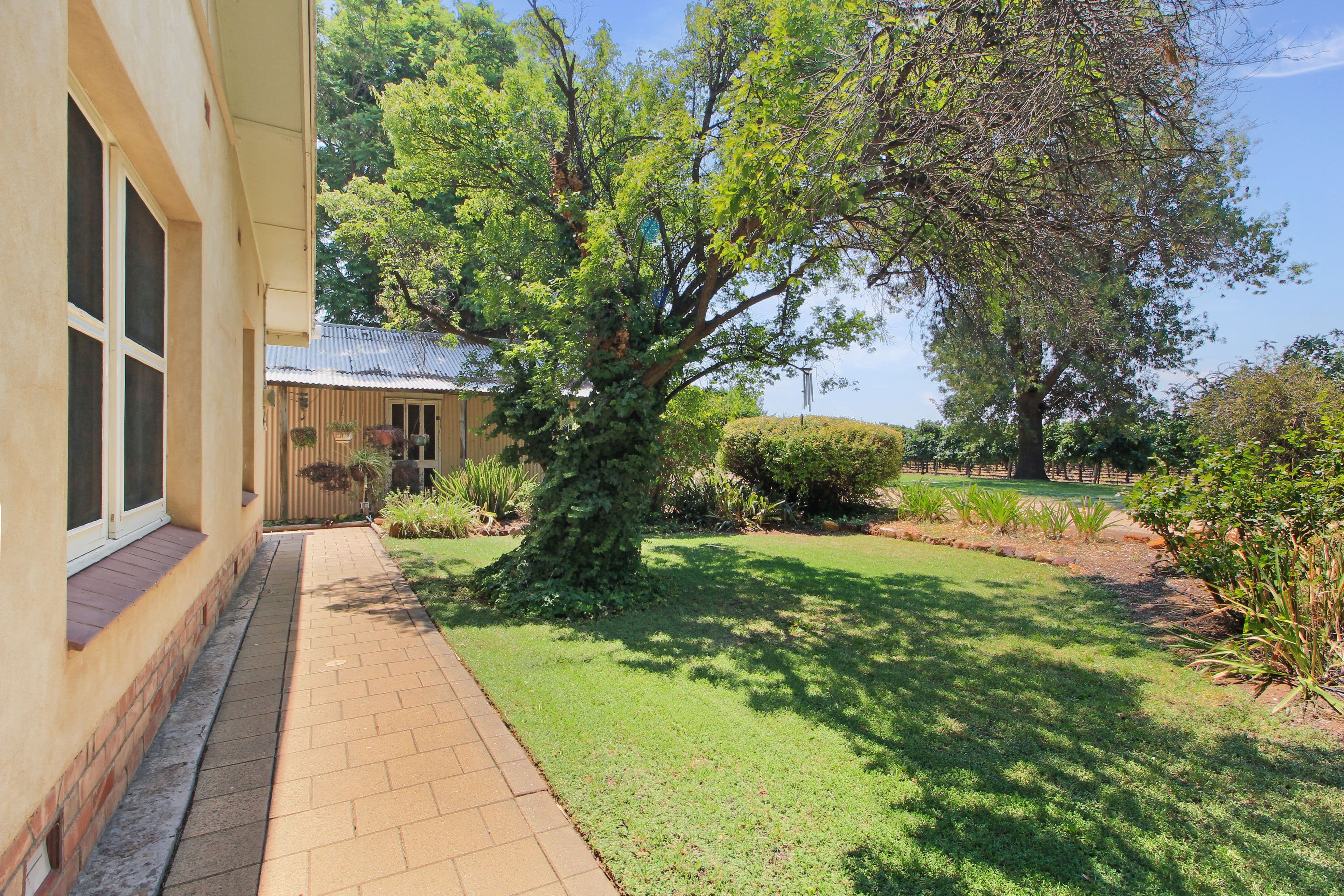 125 Twentyseventh Street, Renmark SA 5341, Renmark South - Thumbnail 3
