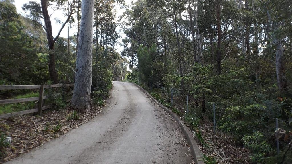 10 Nicholas Grove, Rosedale NSW 2536, Rosedale - Thumbnail 5