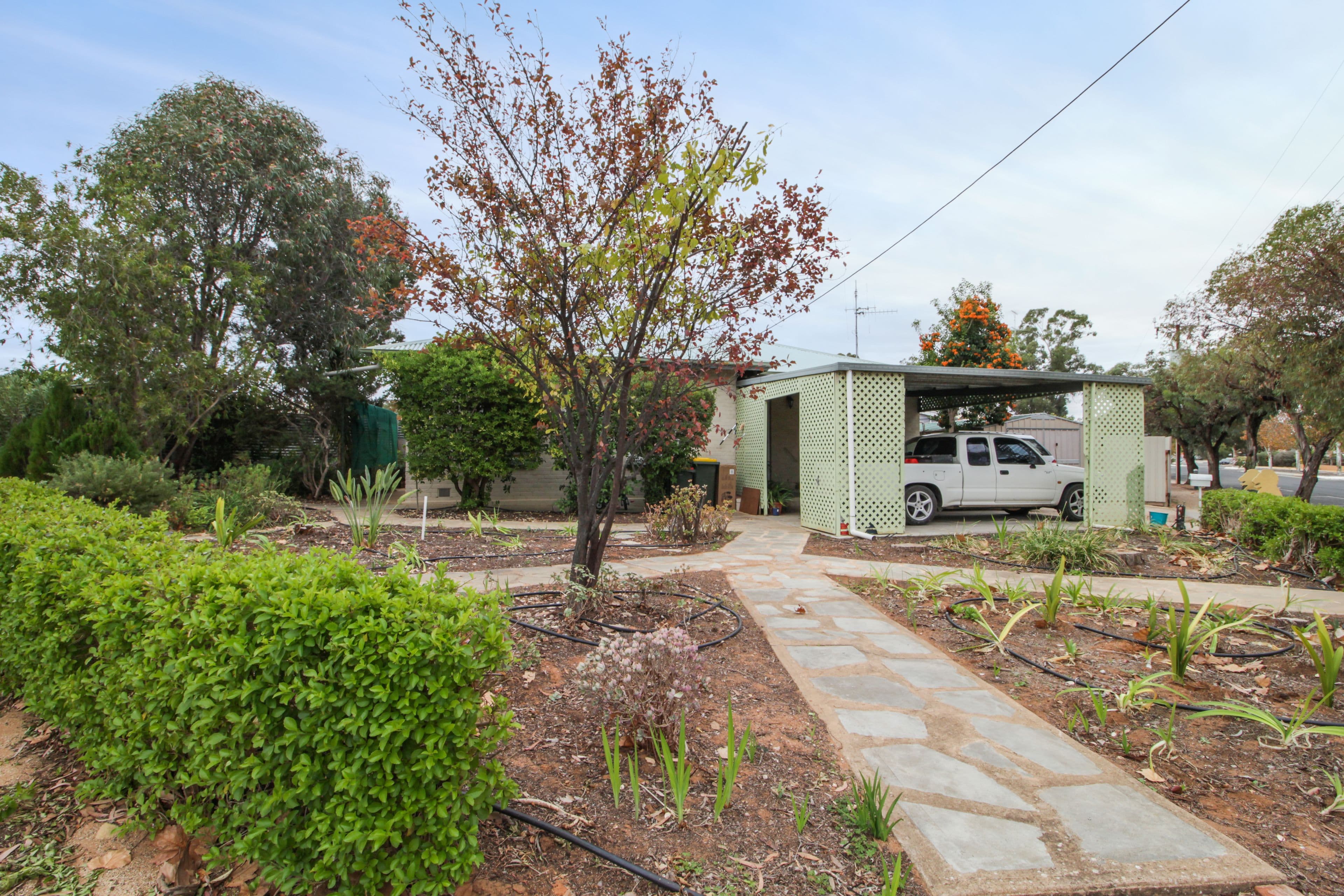 29 Scott Avenue, Barmera SA 5345, Barmera - Image 1