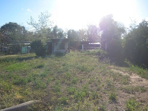 31 Dubbo Lane, Coonamble NSW 2829, Coonamble - Image 1