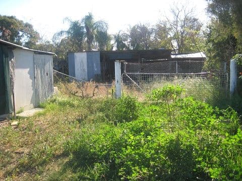 31 Dubbo Lane, Coonamble NSW 2829, Coonamble - Thumbnail 4