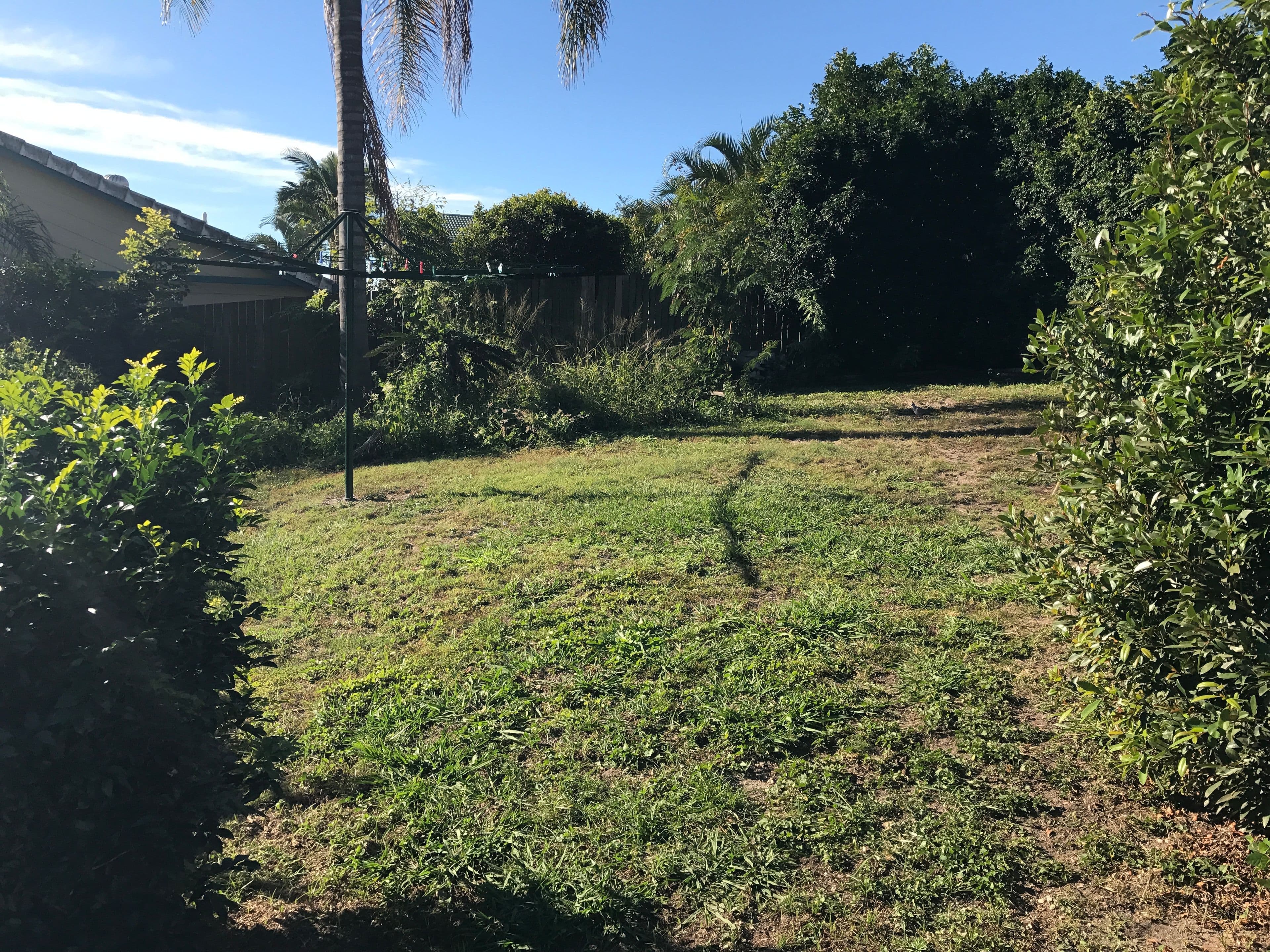 26 Dove Tree Crescent, Sinnamon Park QLD 4073, Sinnamon Park - Thumbnail 2
