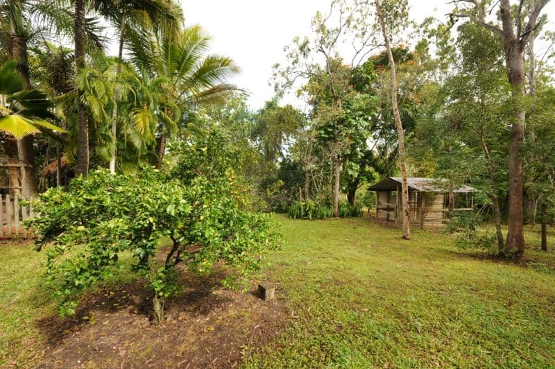 267 Sugarloaf Road, SUGARLOAF QLD 4800, Sugarloaf - Thumbnail 6