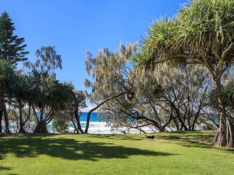 7 Watson Street, CURRIMUNDI QLD 4551, Currimundi - Thumbnail 5
